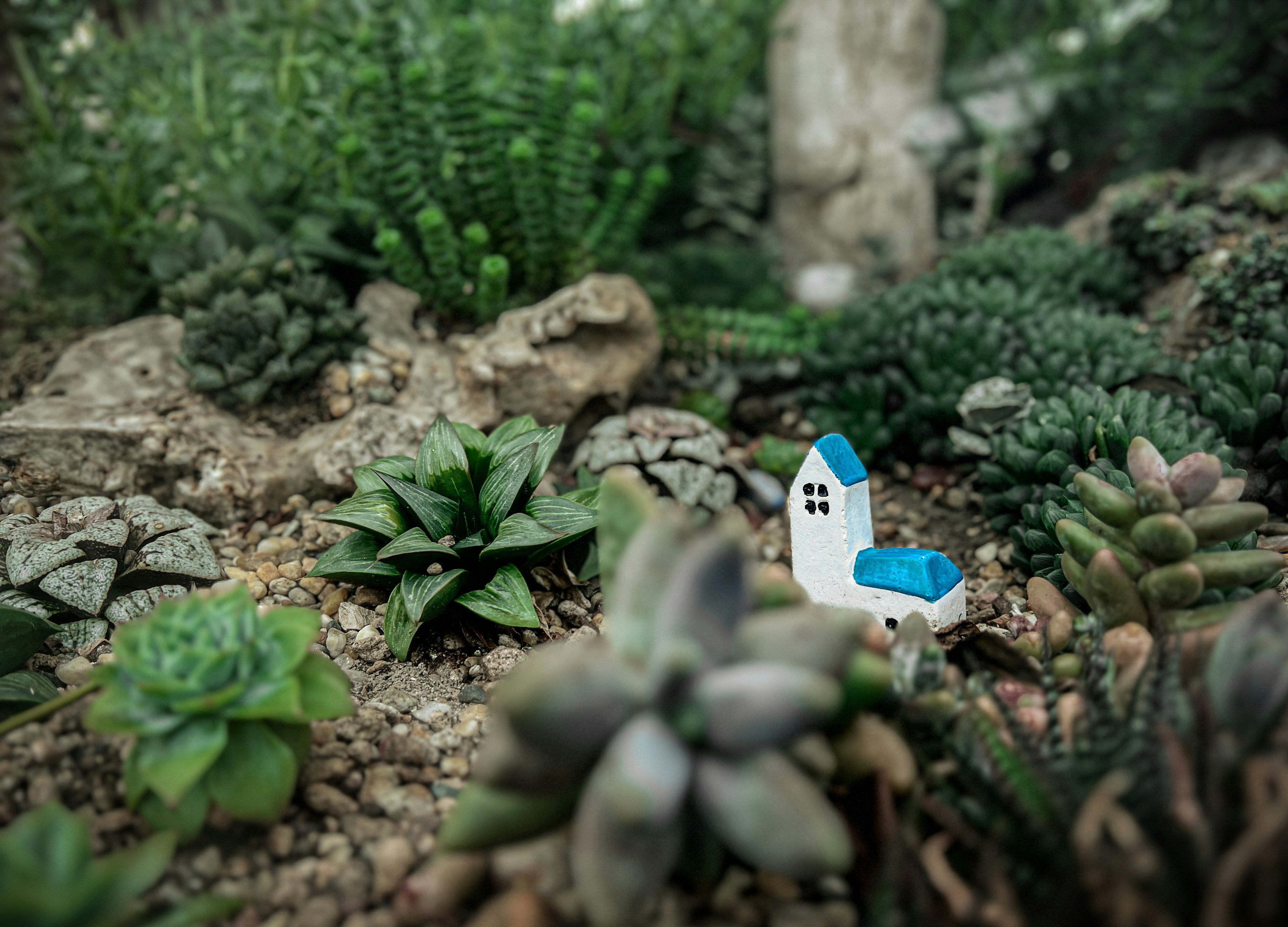 a small blue and white house in a garden
