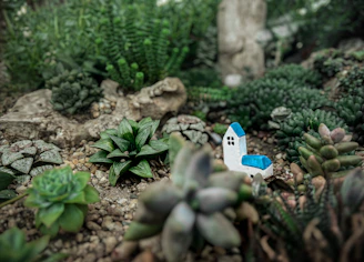 A whimsical planter shaped like a tiny house, painted white with green vines growing from its chimney.