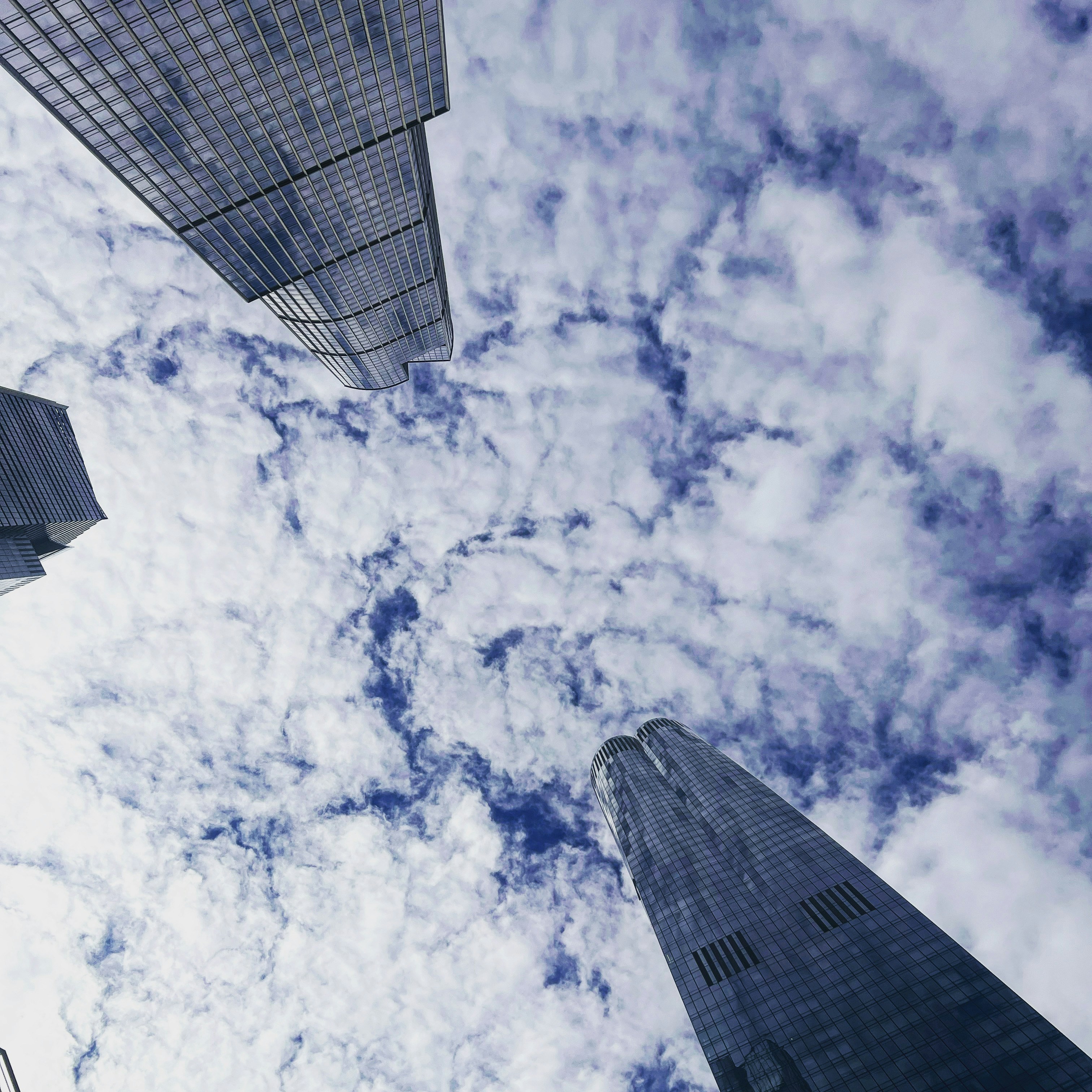 Photo by jnmacdonald