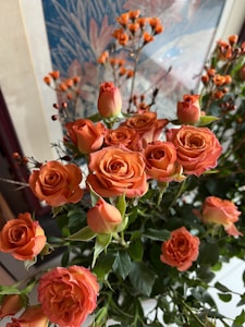 Orange Rose Glow