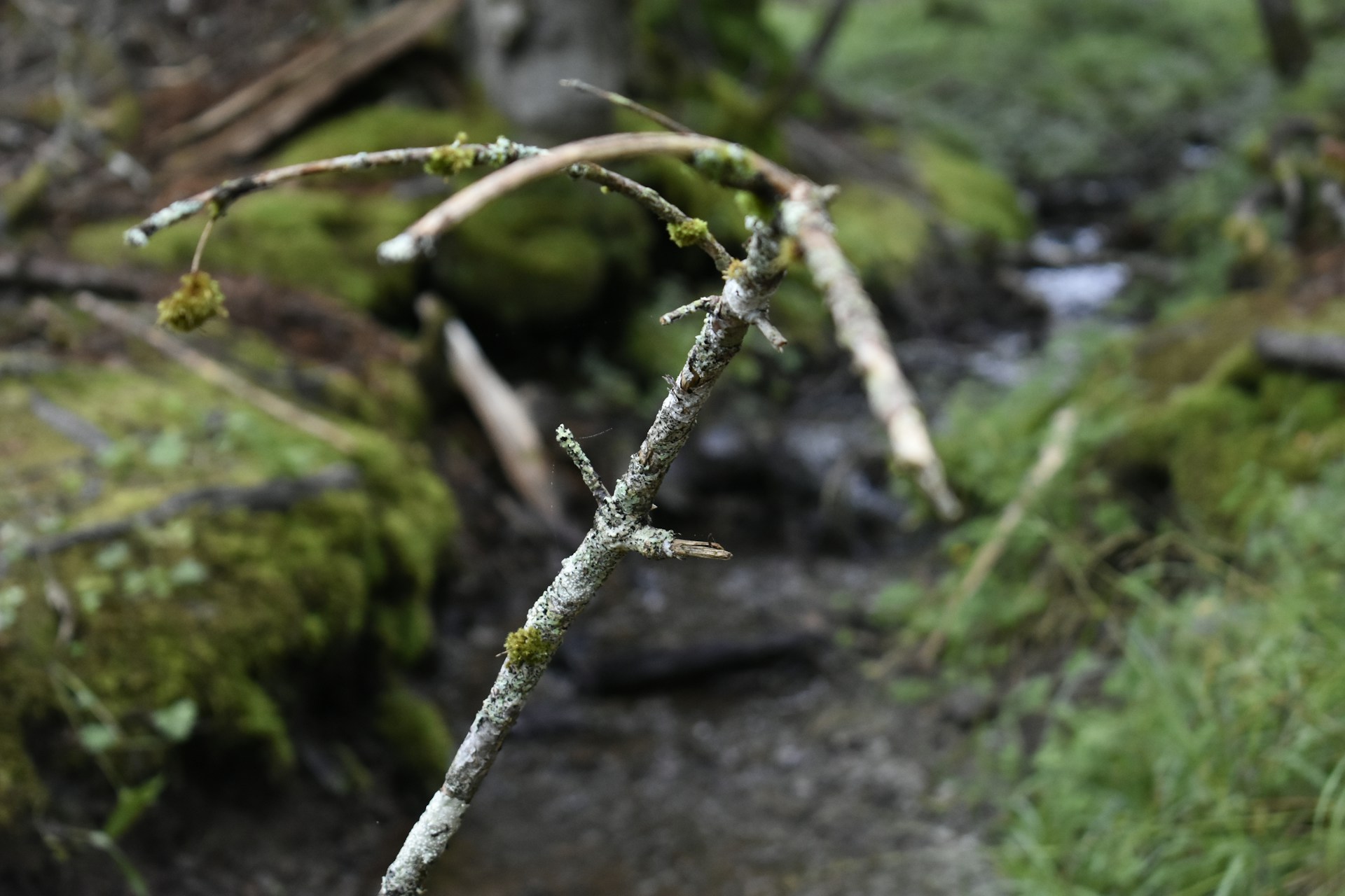 gray computer monitor