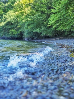 Soft waves gently lapping against a smooth stone pathway lined with tropical greenery.