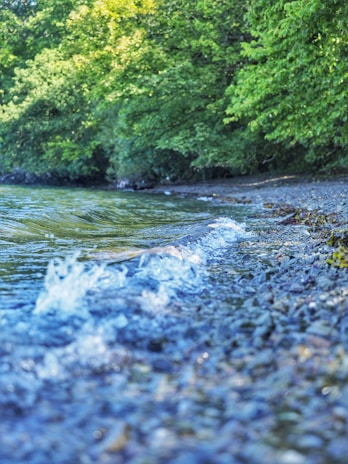Soft waves gently lapping against a smooth stone pathway lined with tropical greenery.