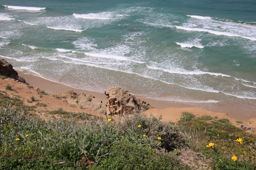 a view of a beach with waves coming in from the ocean