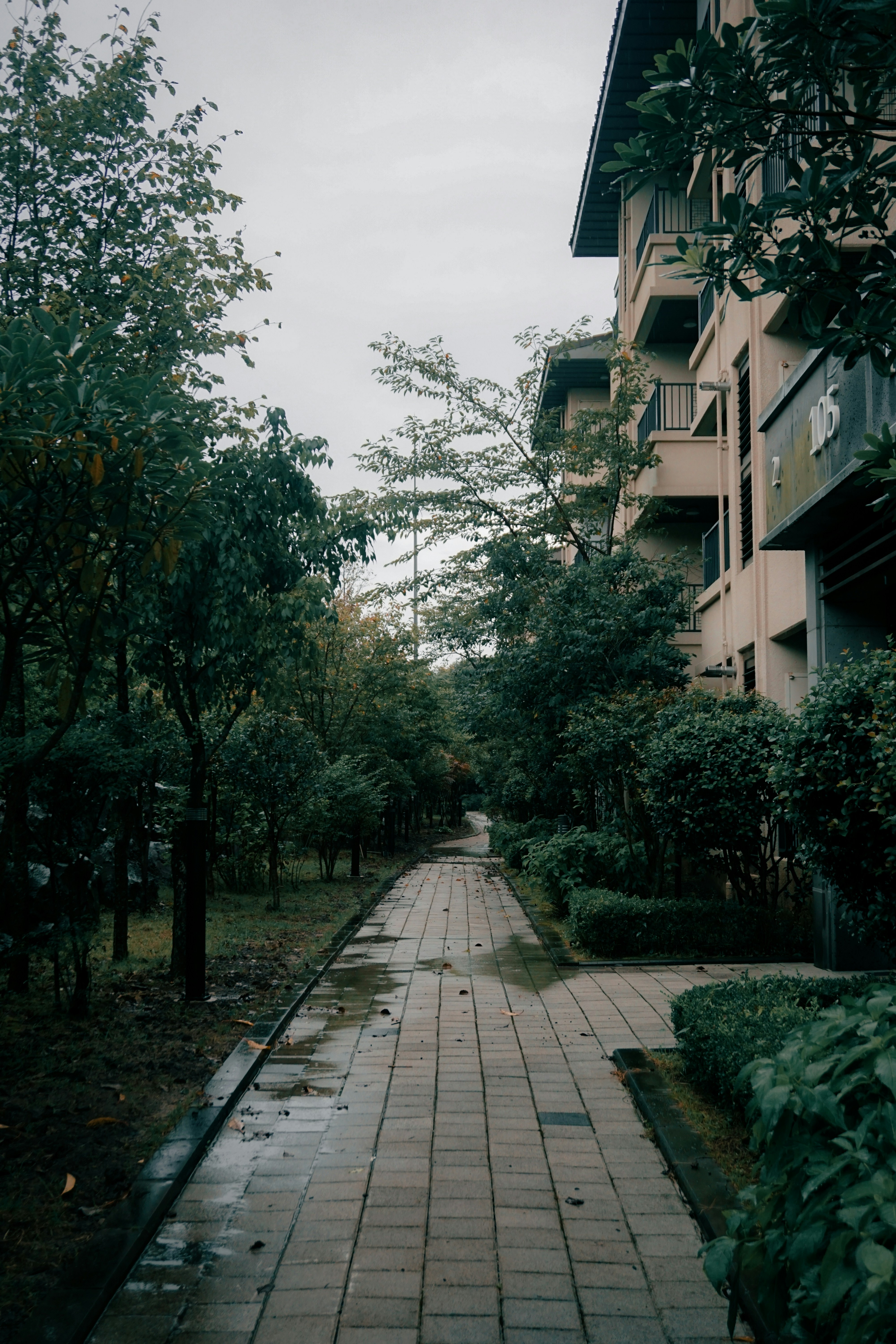 Photo by horseratbros