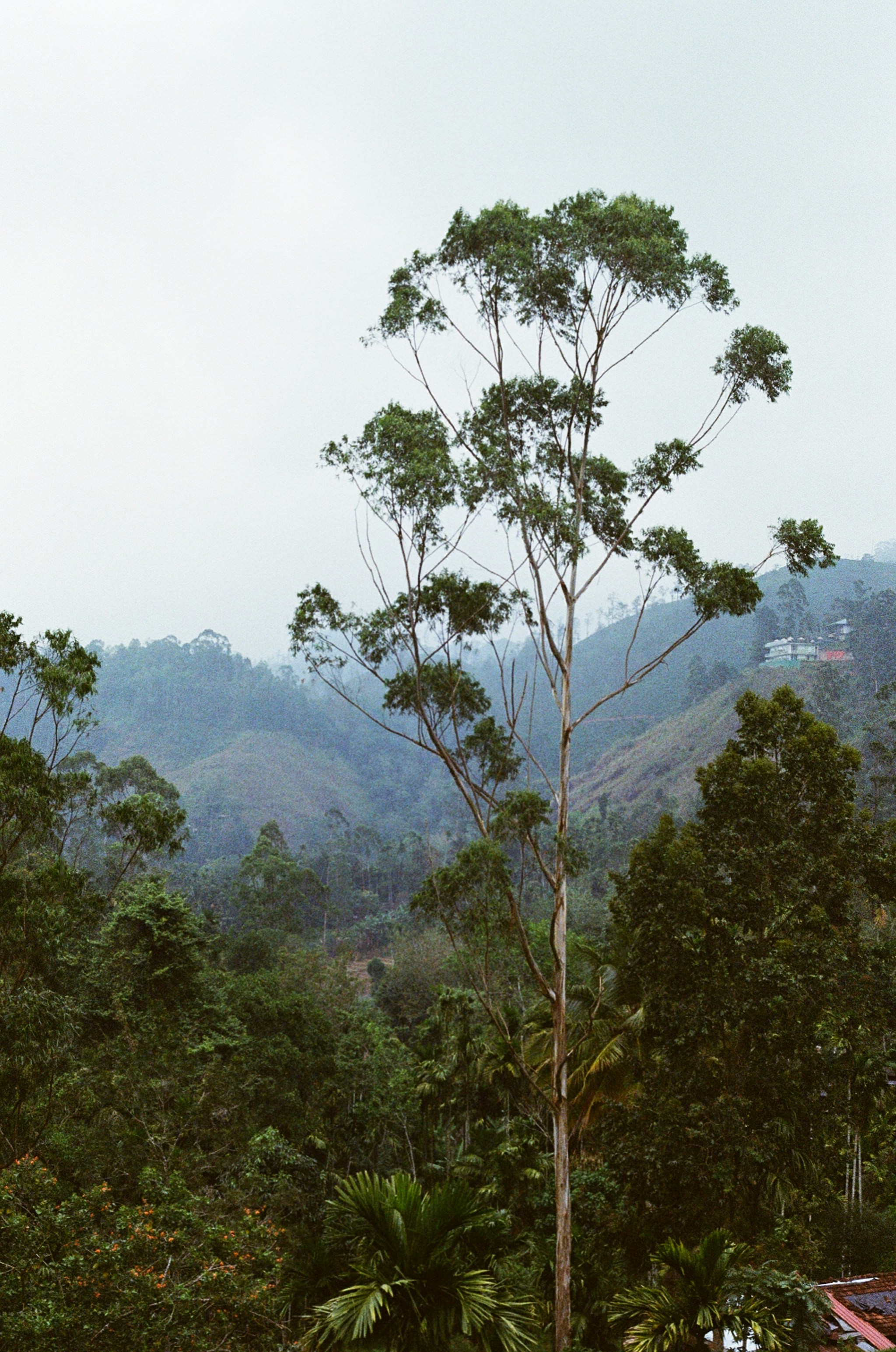 Photo by evilphoton42