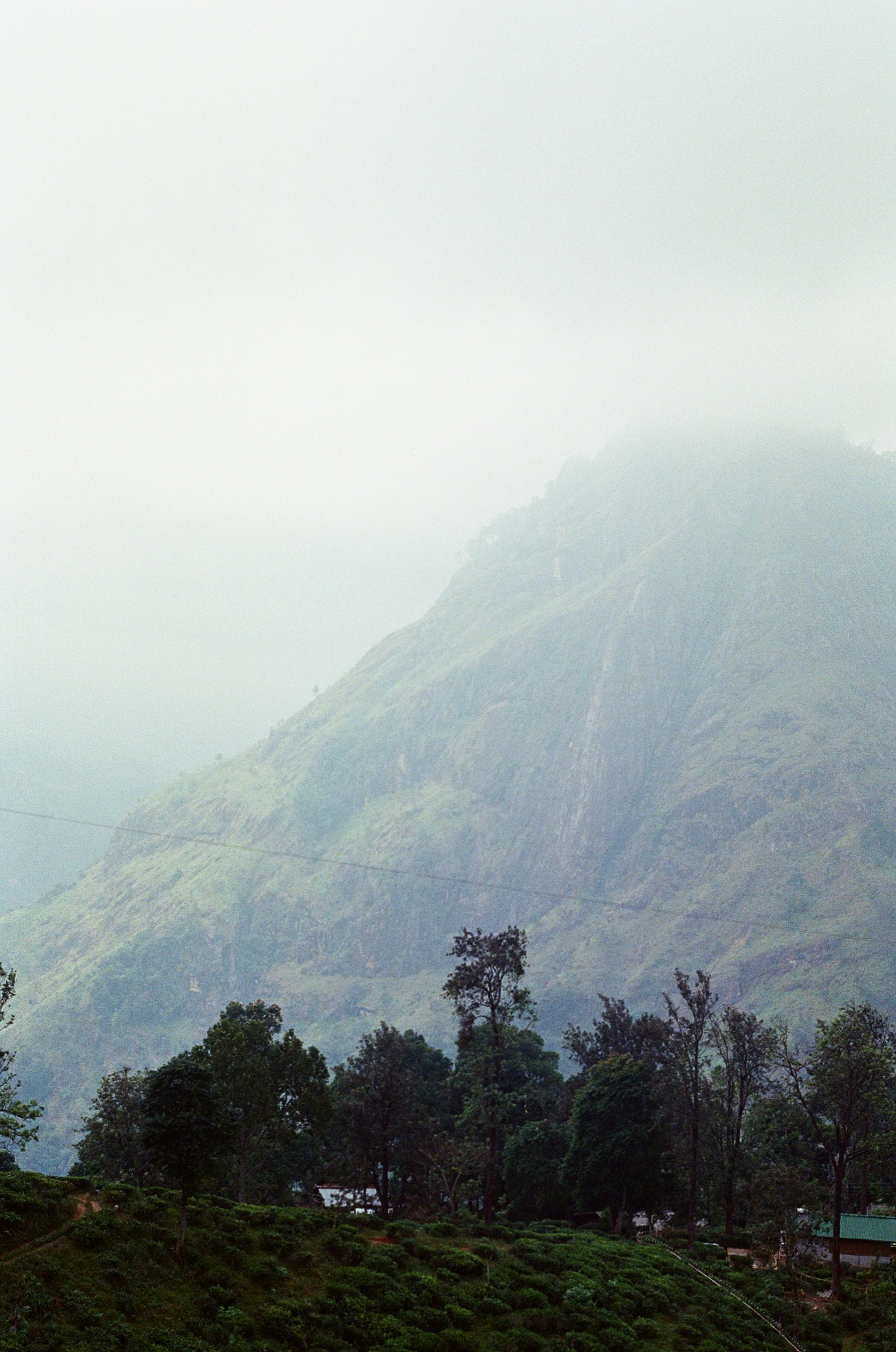 Photo by evilphoton42