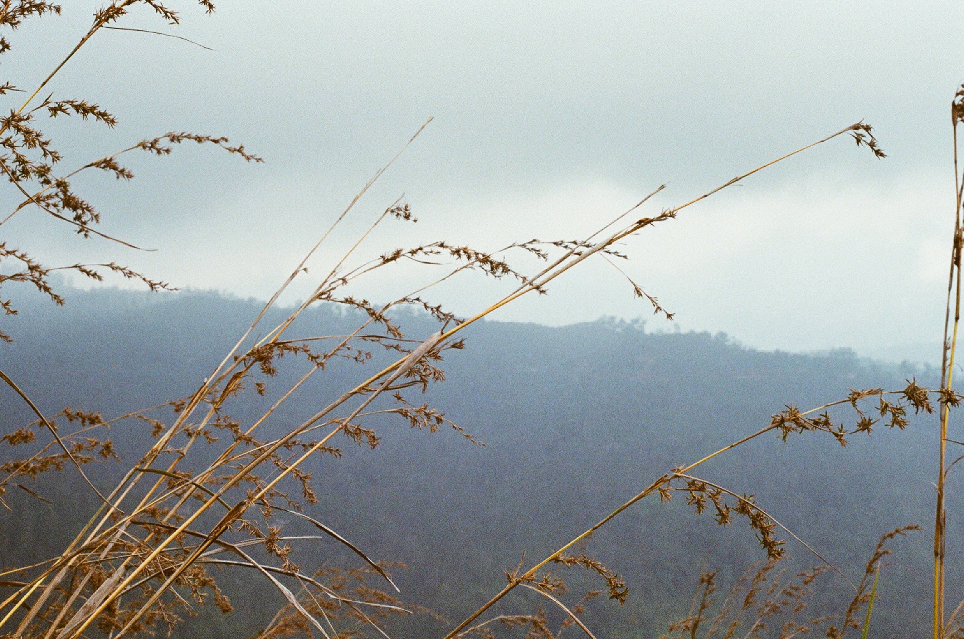 Photo by evilphoton42