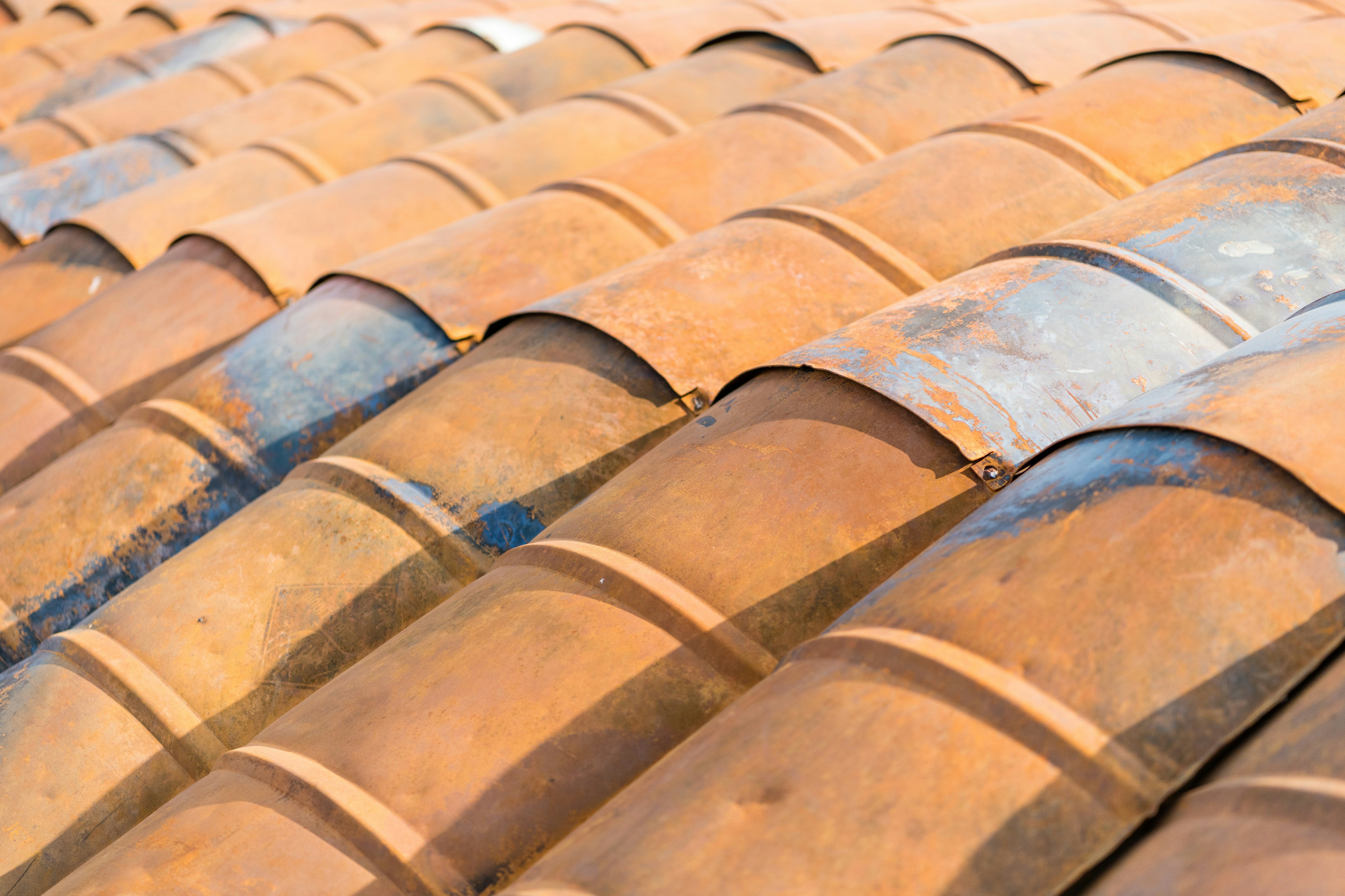 Photo by ultimate_safaris_namibia