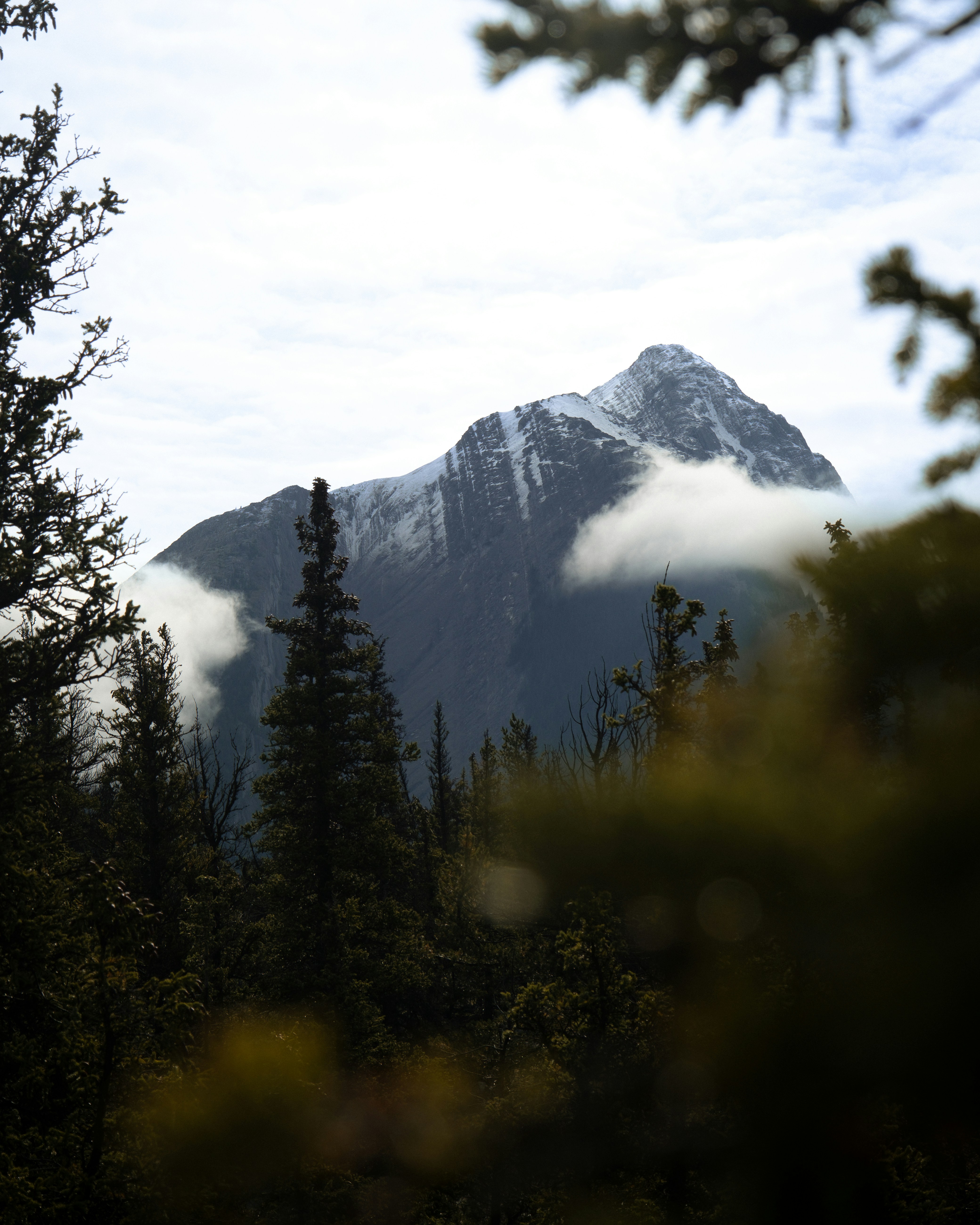 Photo by thomasbarez