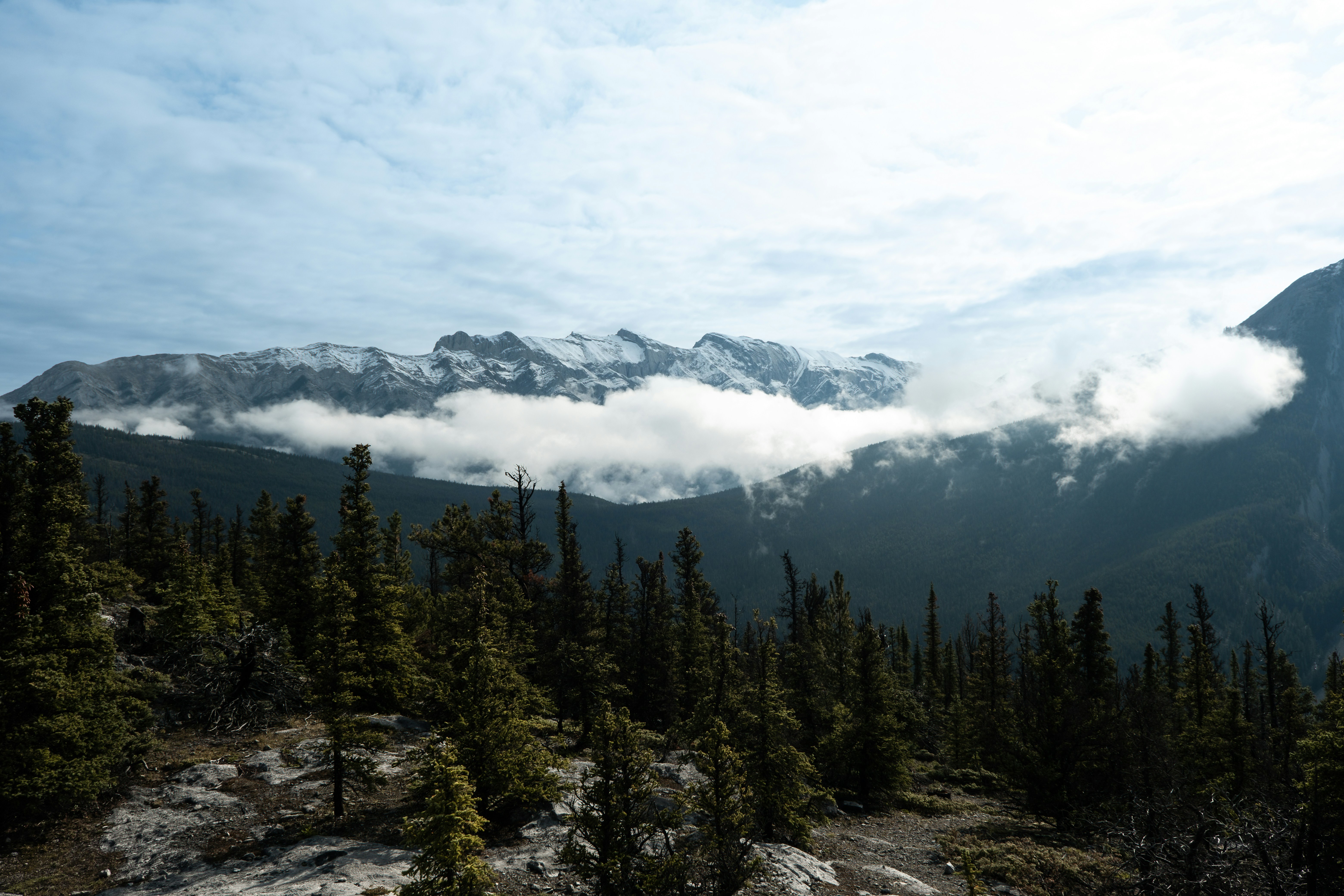 Photo by thomasbarez