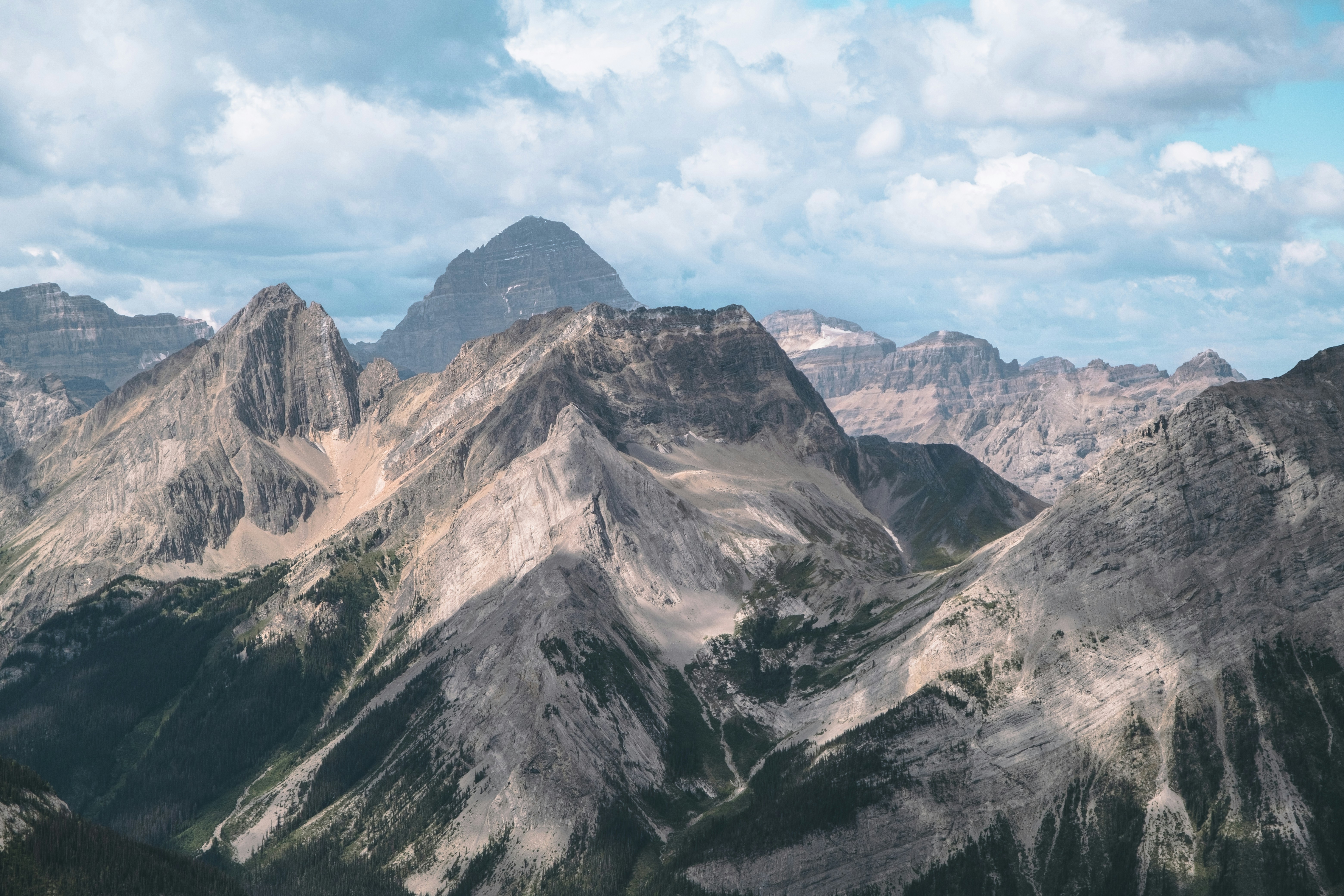 Photo by thomasbarez