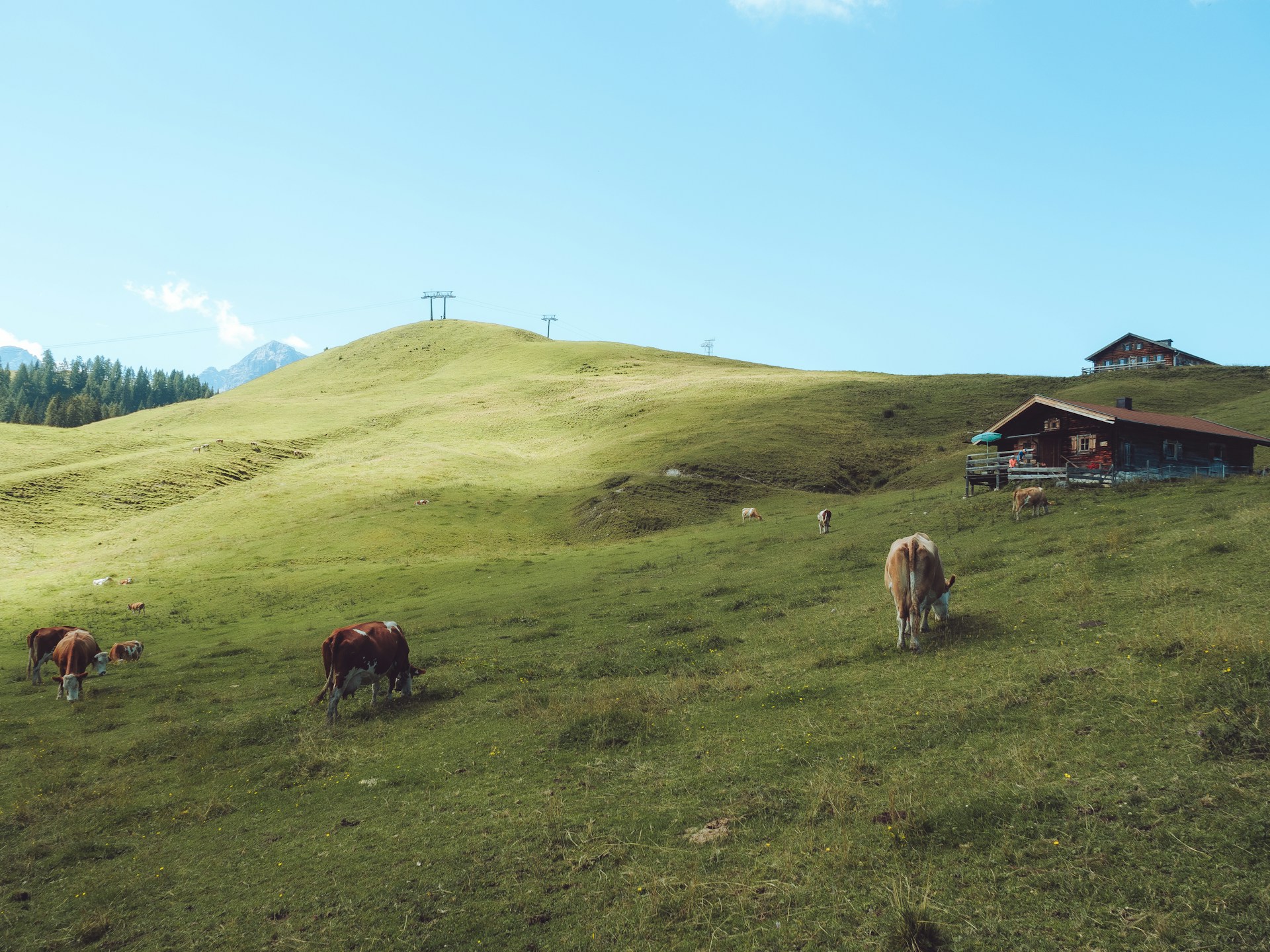 gray computer monitor