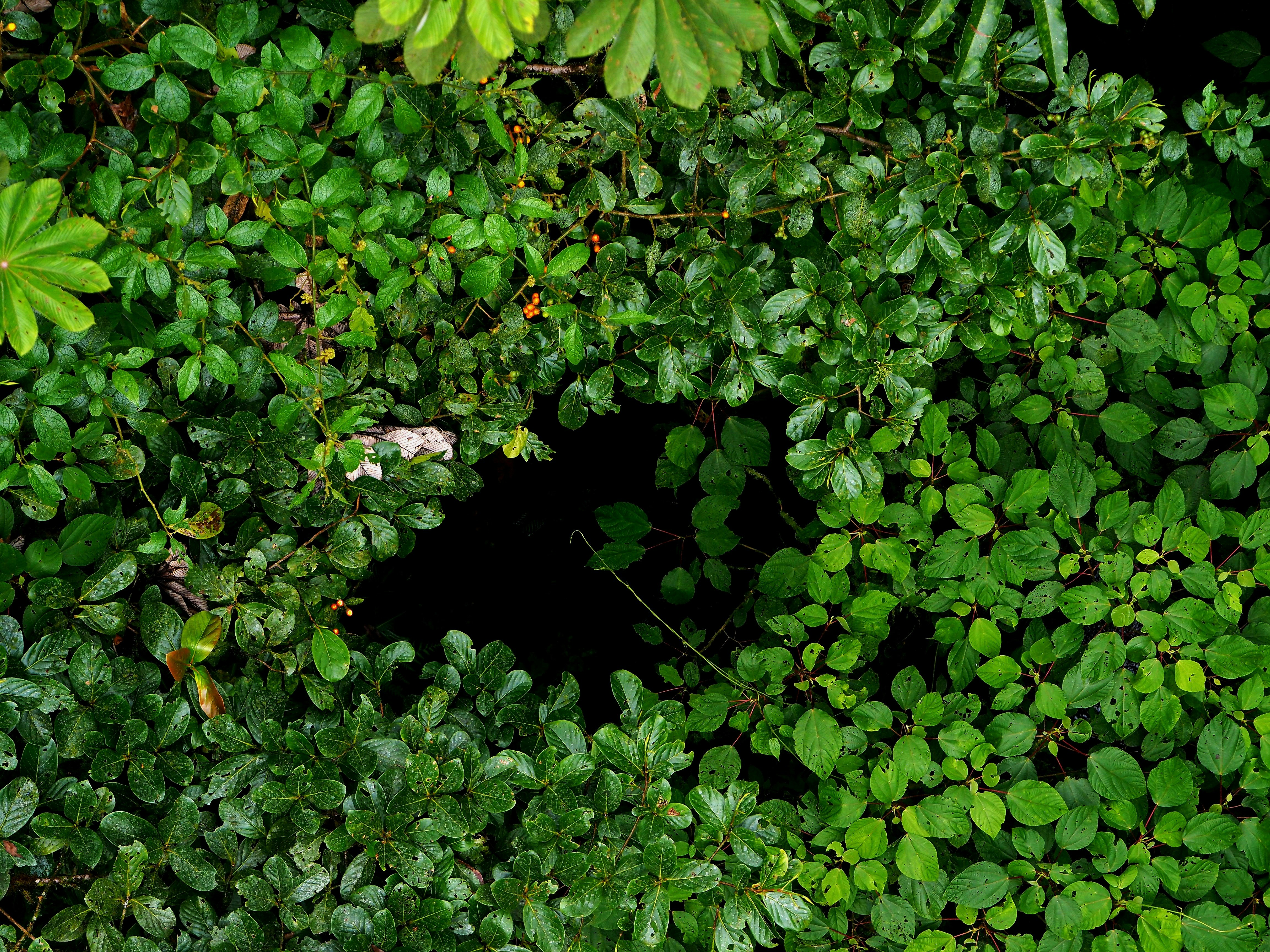 wallpaper abstract verde, wallpaper, Digital Marketing Strategy: A Comprehensive Guide 1