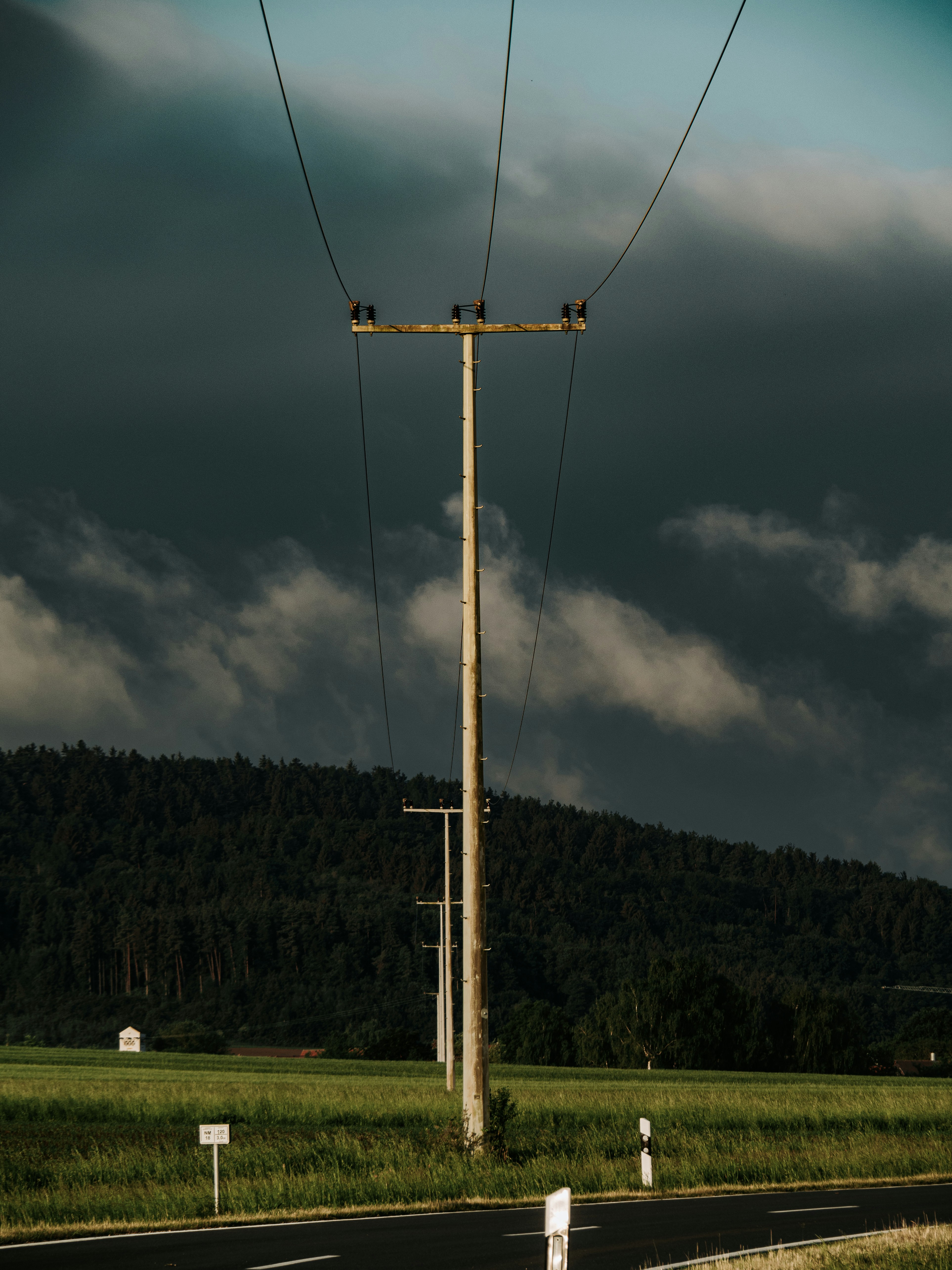 two birds sitting on top of a telephone pole