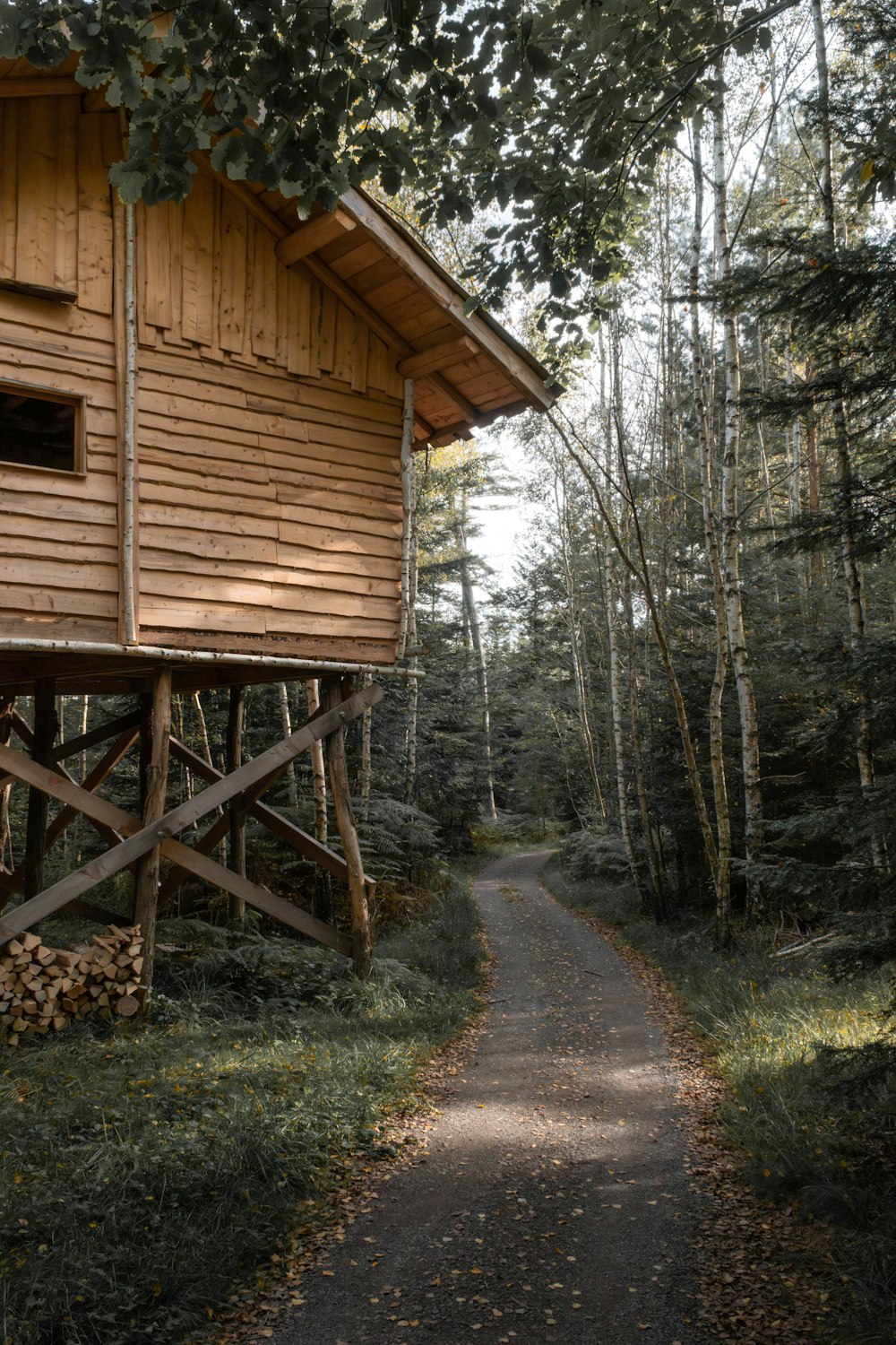 a wooden cabin in the middle of a forest