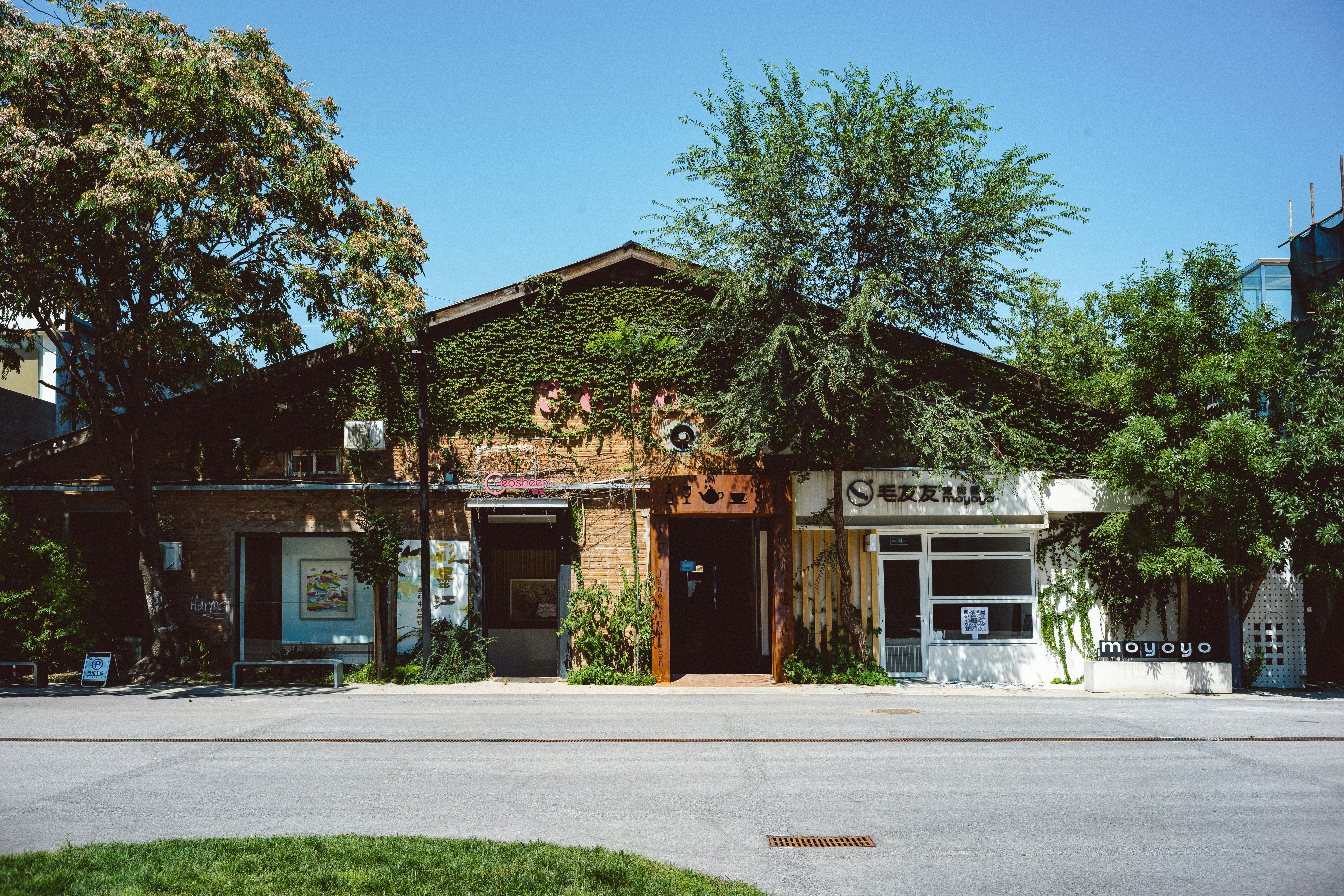 Photo by tommaomaoer