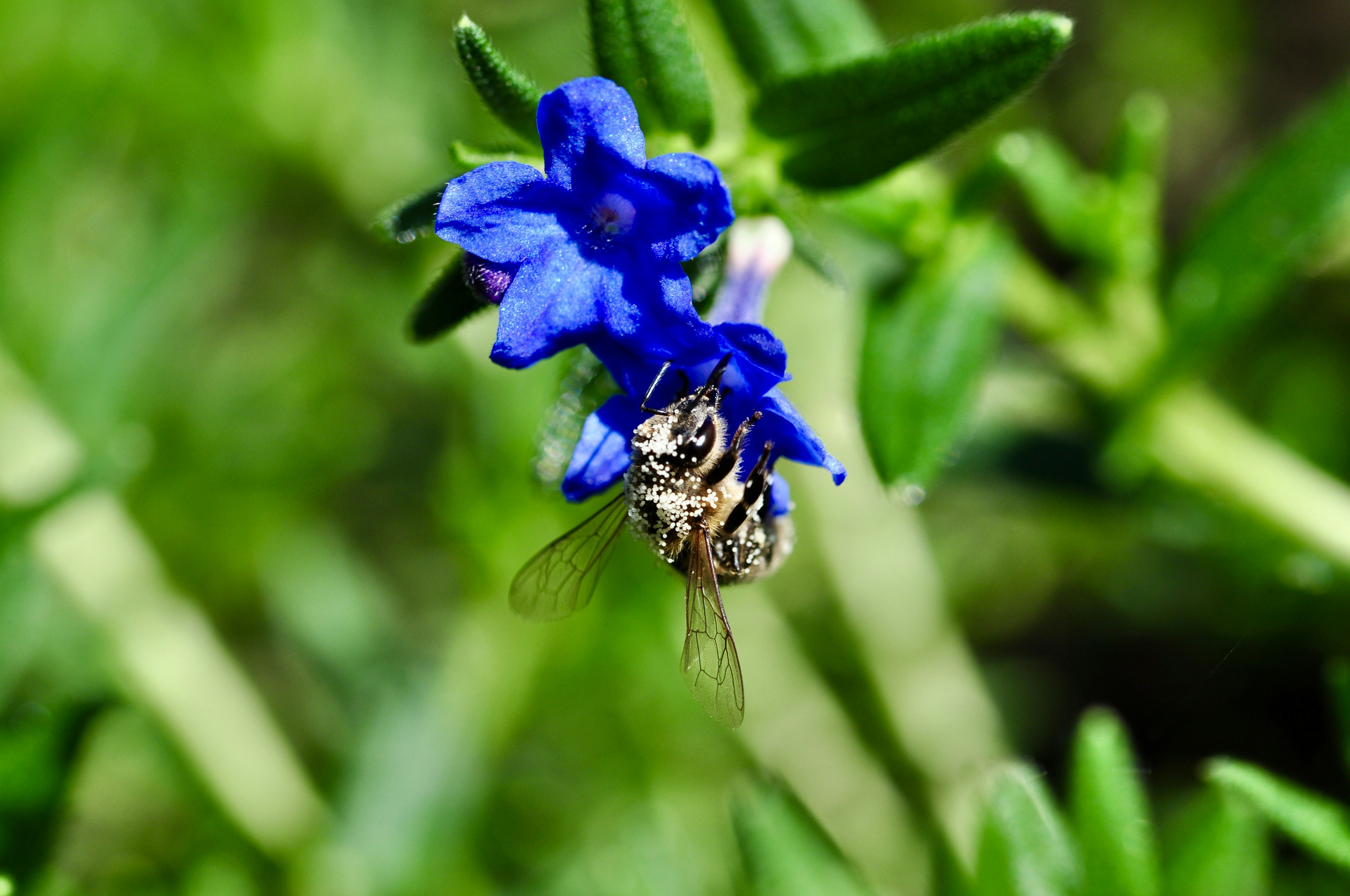 Photo by ranibeta300