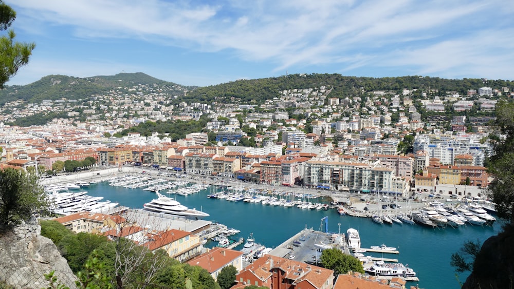 a harbor filled with lots of boats next to a city