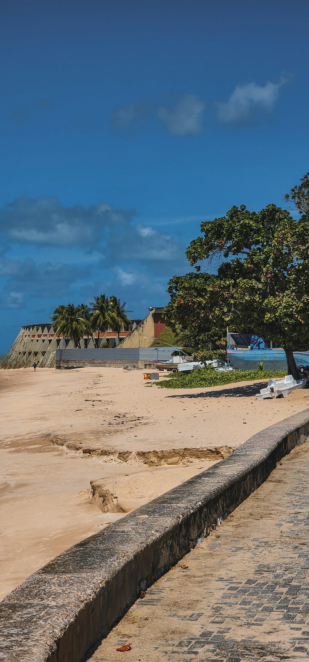 a beach with a tree and a building in the background