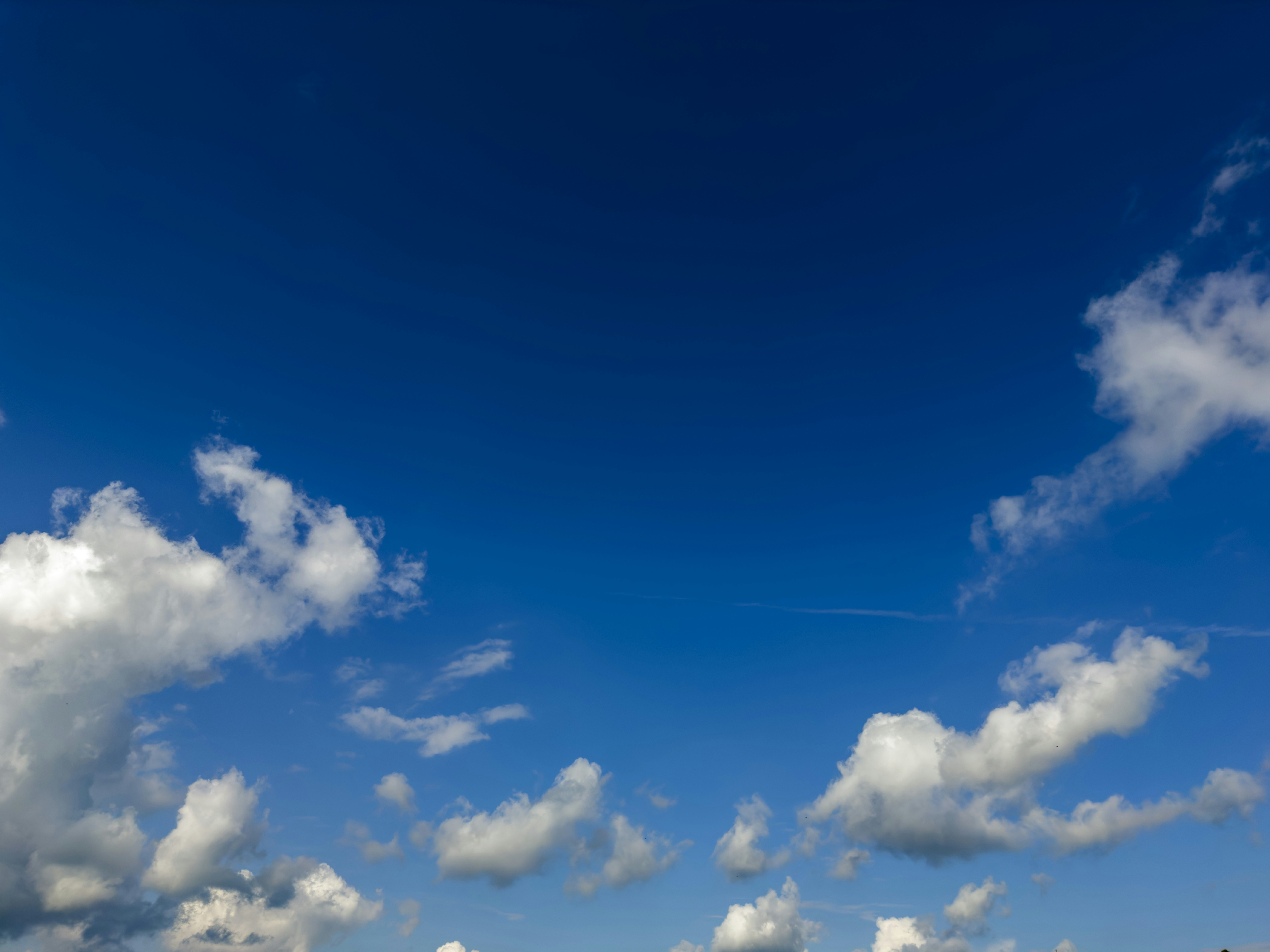 a group of people on a beach flying a kite