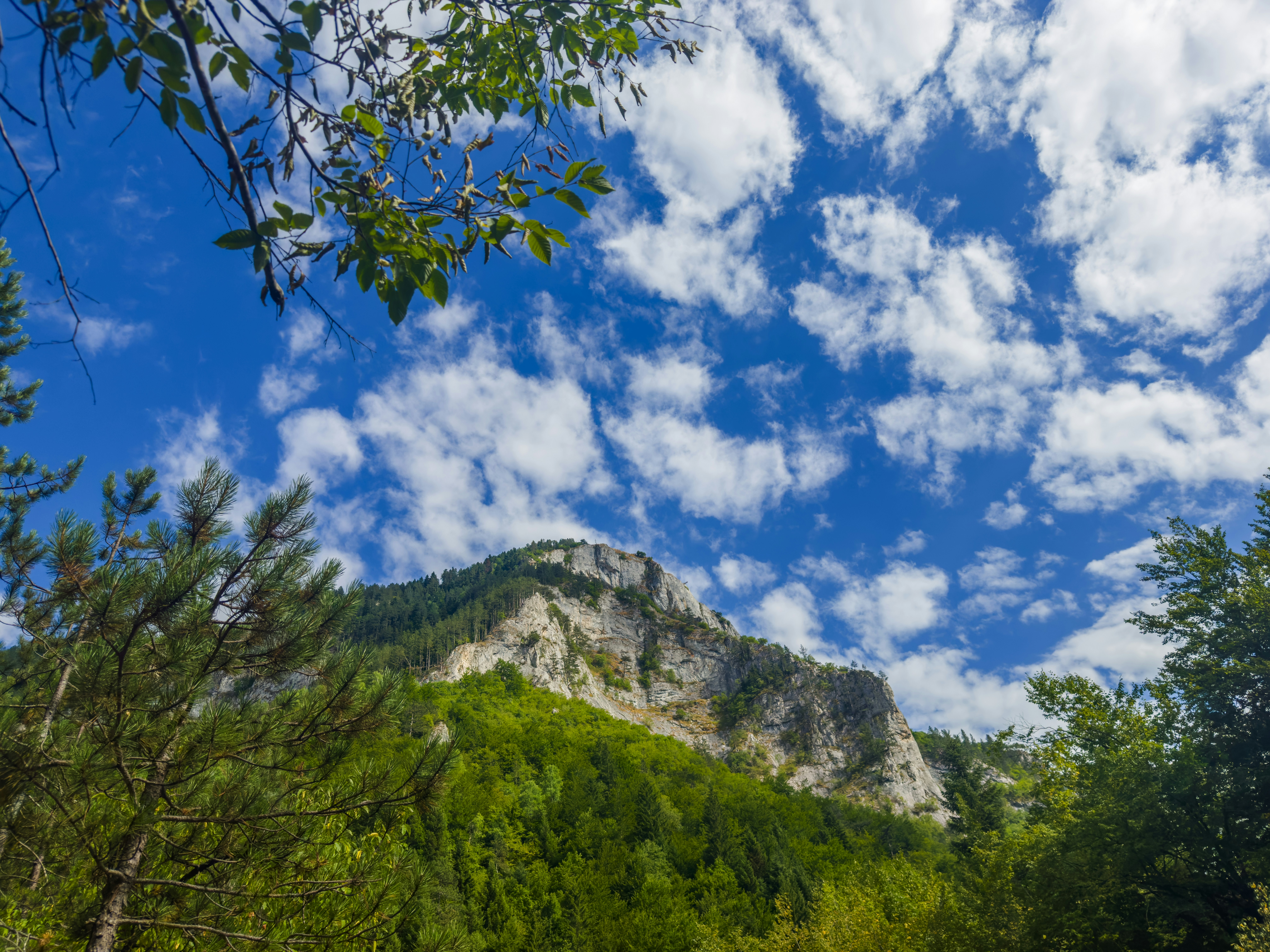 Photo by archange1michael