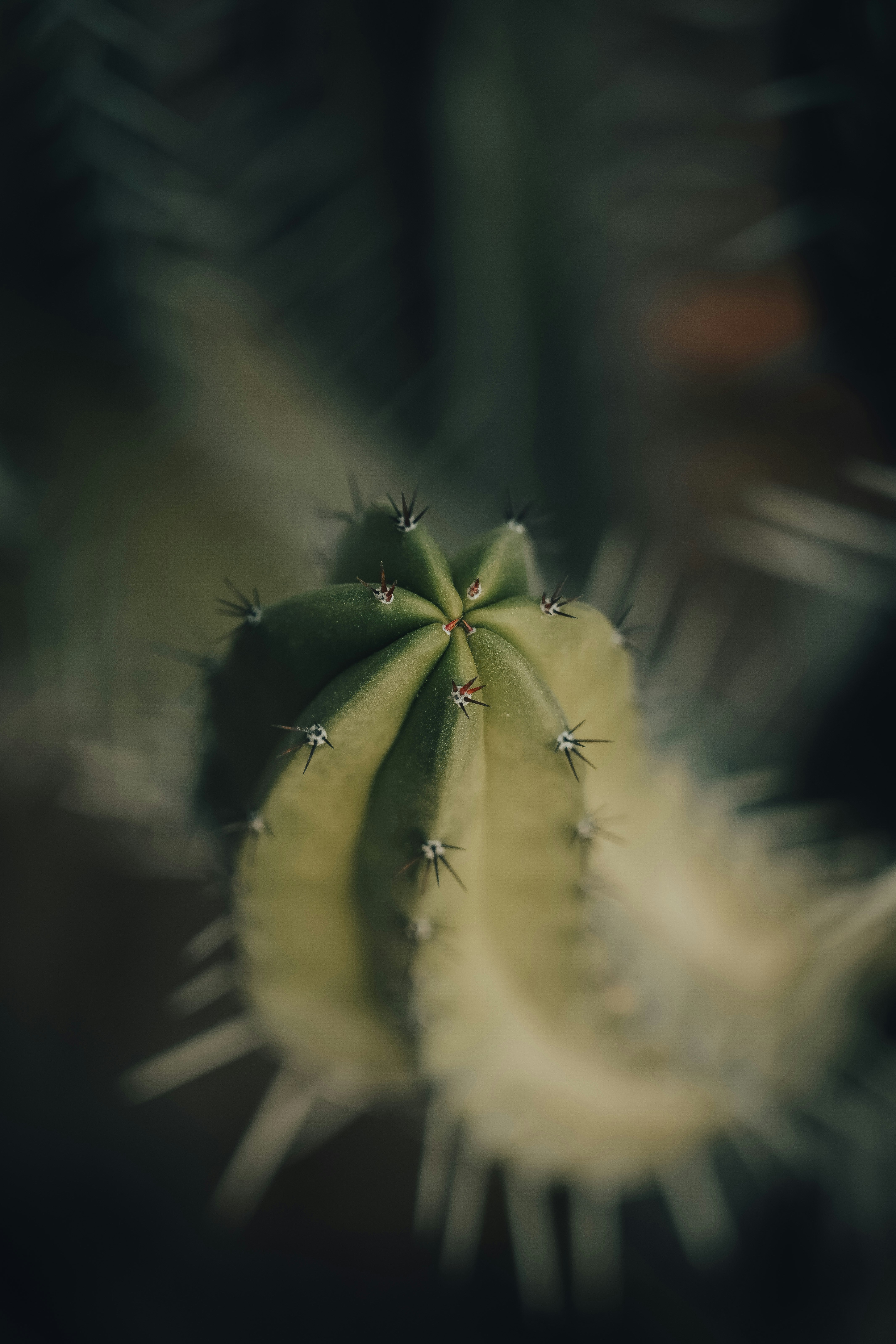 Photo by ftshafi