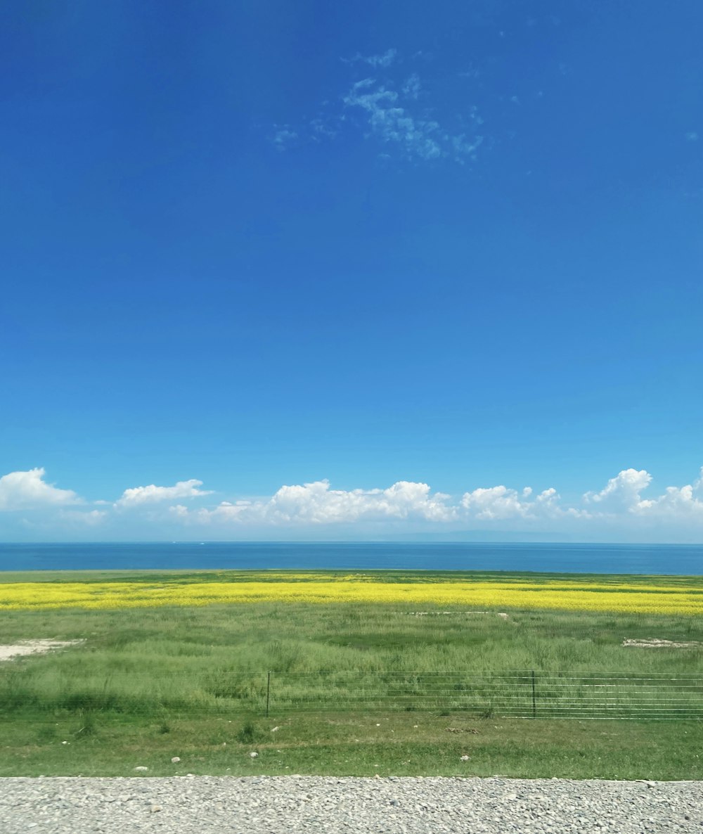 a view of the ocean from a train window