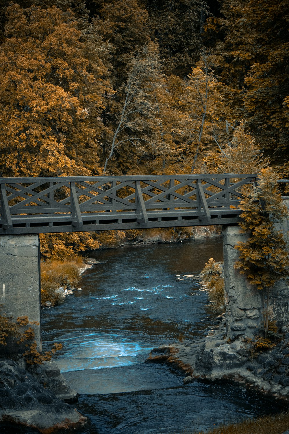 a bridge over a river surrounded by trees