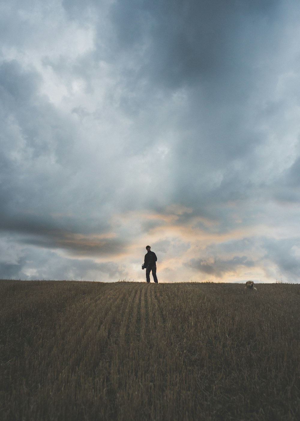 a man standing on top of a dry grass field