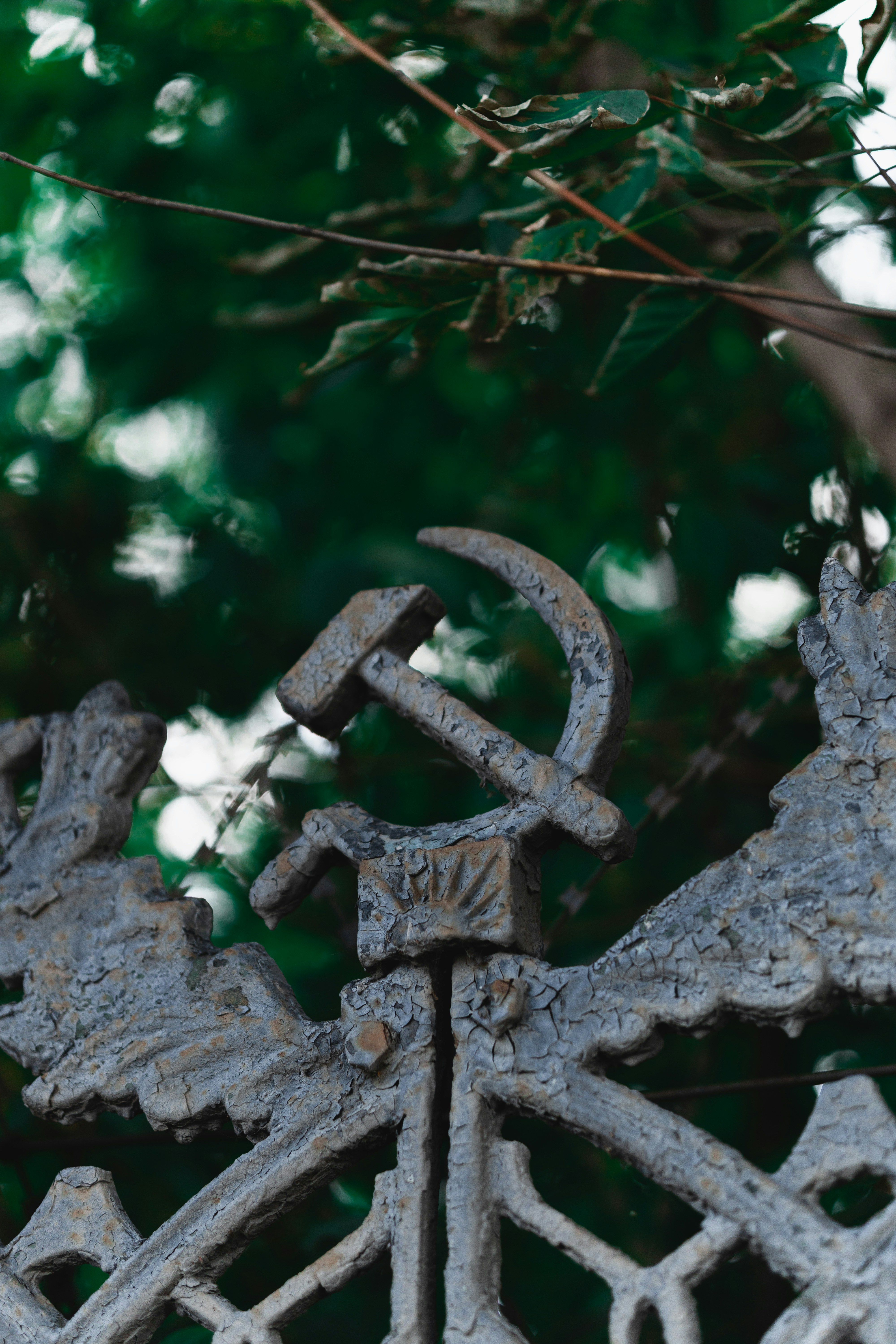 a close up of a metal fence with a tree in the background