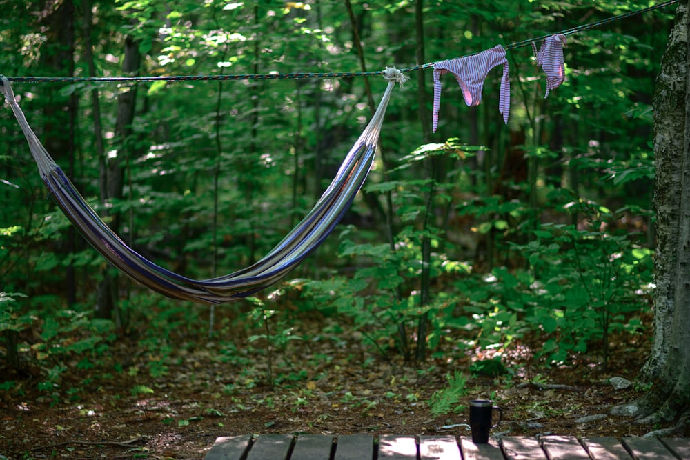 eine Hängematte, die an einem Seil im Wald hängt