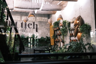 A cozy interior space features a collection of potted plants arranged on shelves against a concrete wall. The ceiling is adorned with woven rattan light fixtures that cast a warm glow. Natural light filters in through large windows, highlighting a lush, green aesthetic.