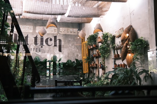 A cozy interior space features a collection of potted plants arranged on shelves against a concrete wall. The ceiling is adorned with woven rattan light fixtures that cast a warm glow. Natural light filters in through large windows, highlighting a lush, green aesthetic.