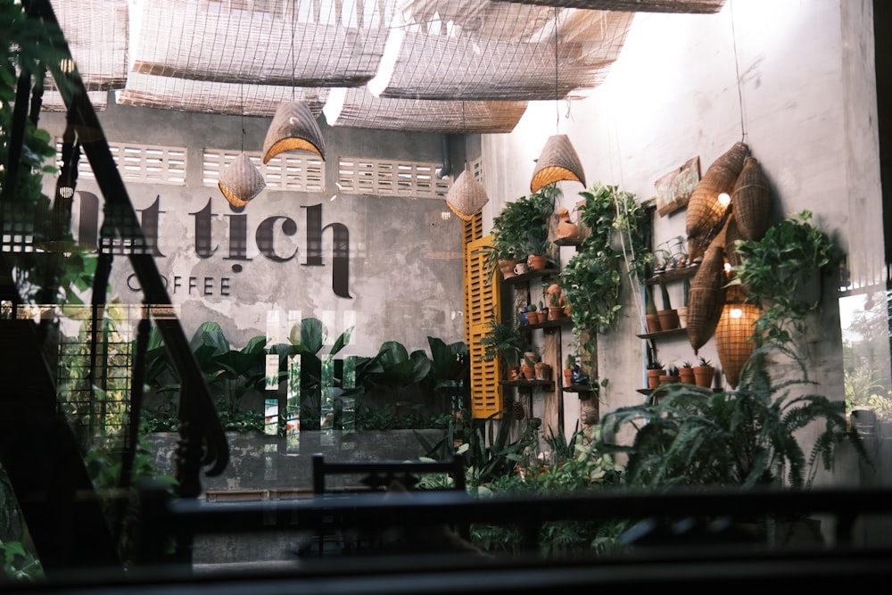 a store window with plants and hanging lights