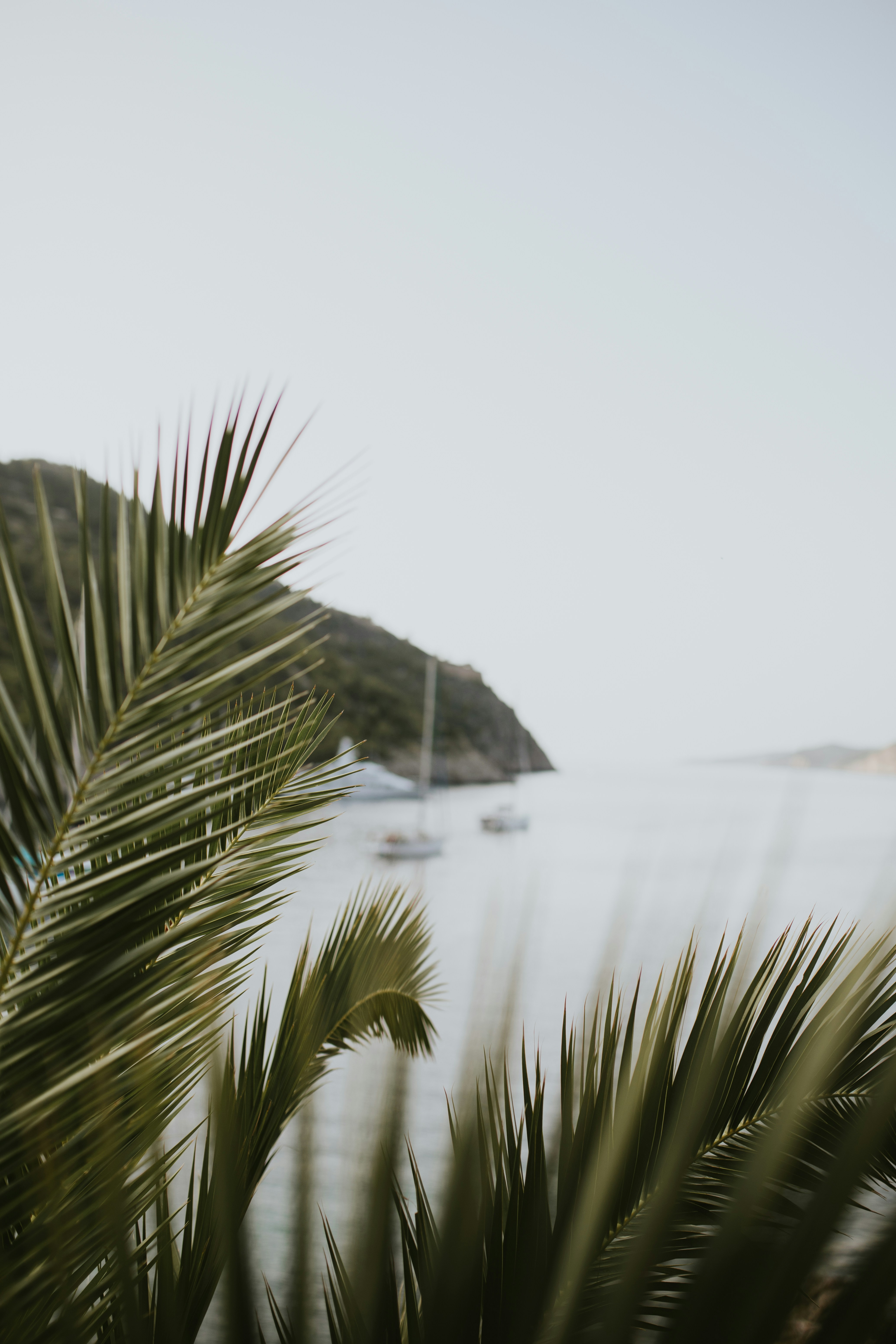 Photo by adinapatrana