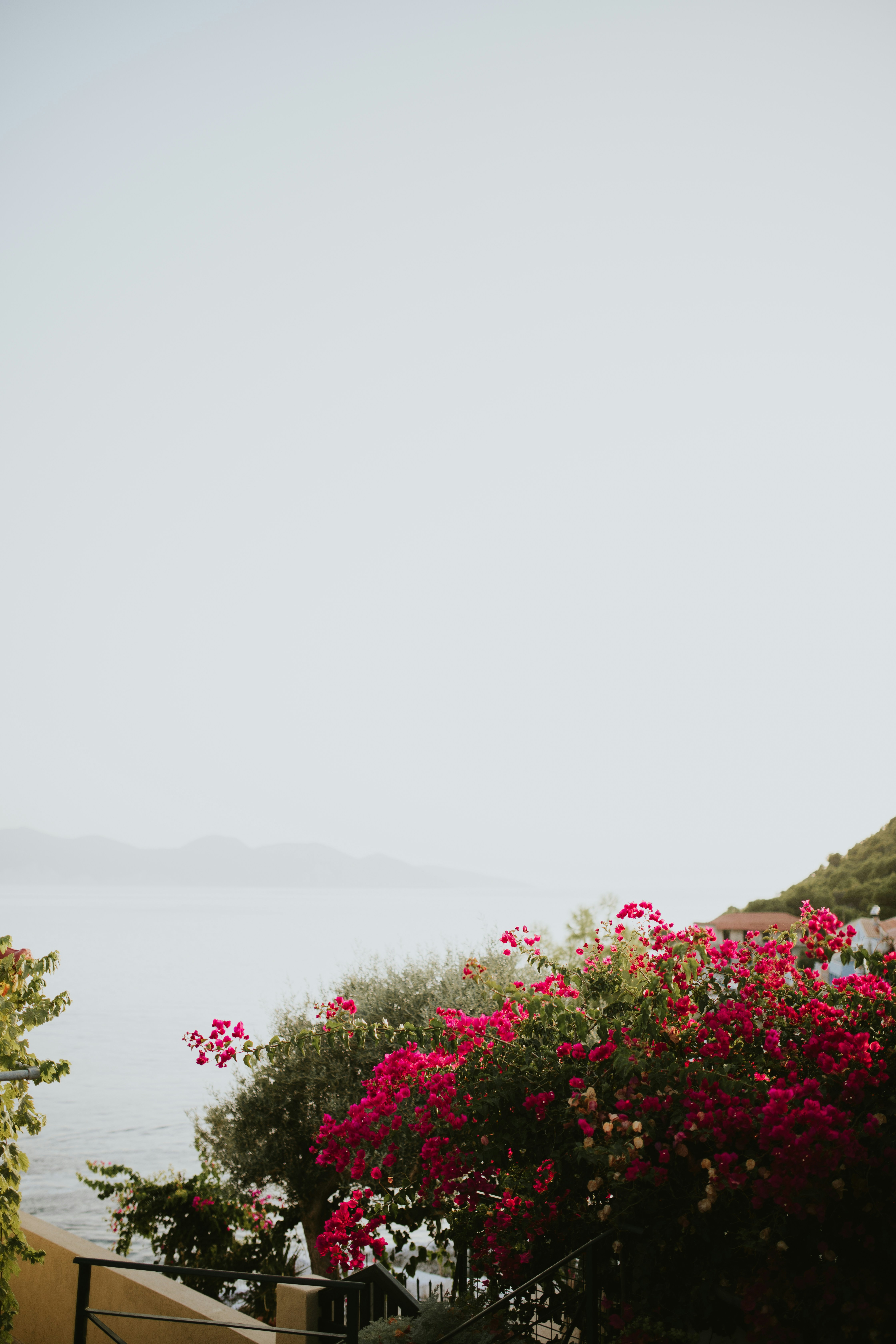 Photo by adinapatrana