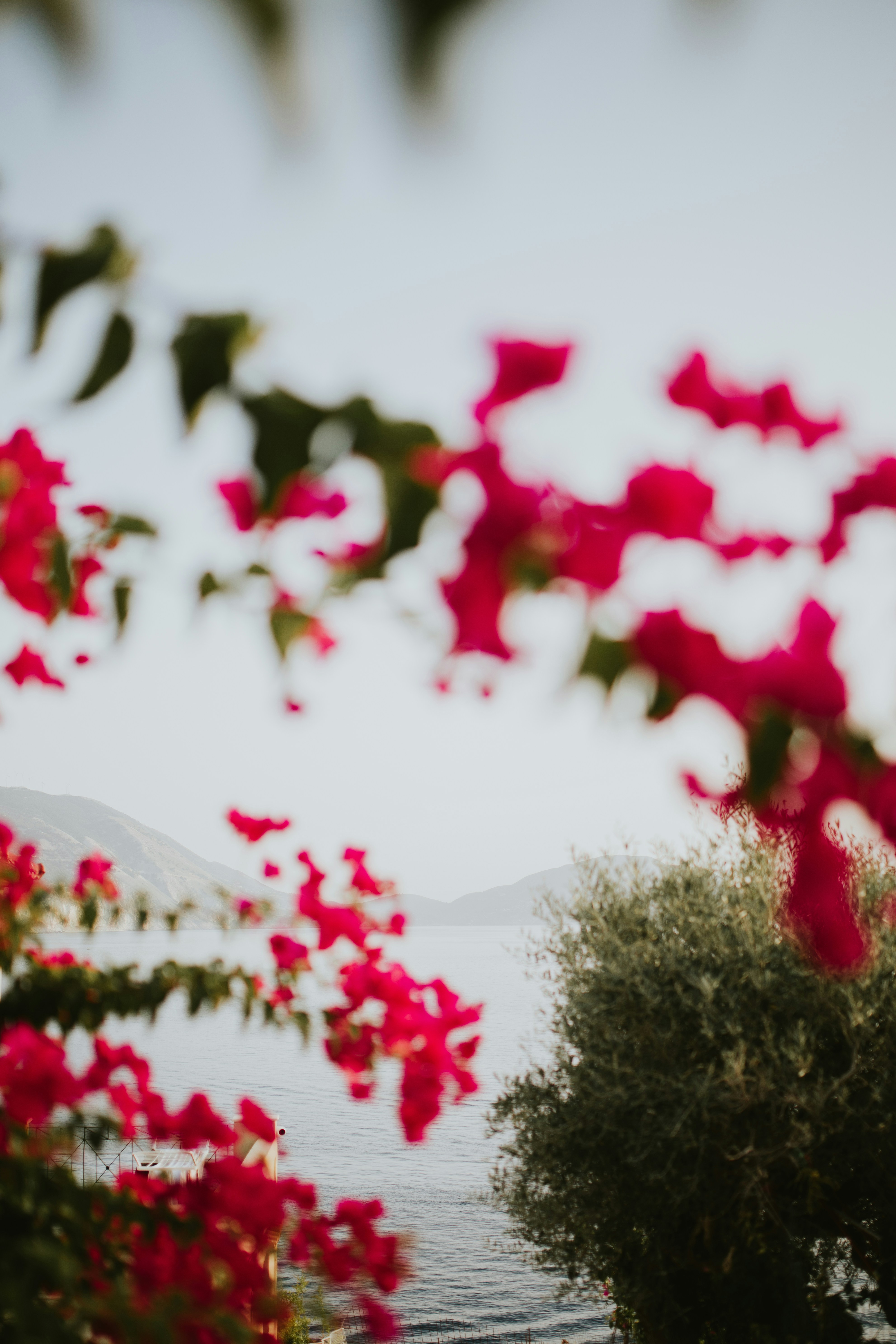 Photo by adinapatrana