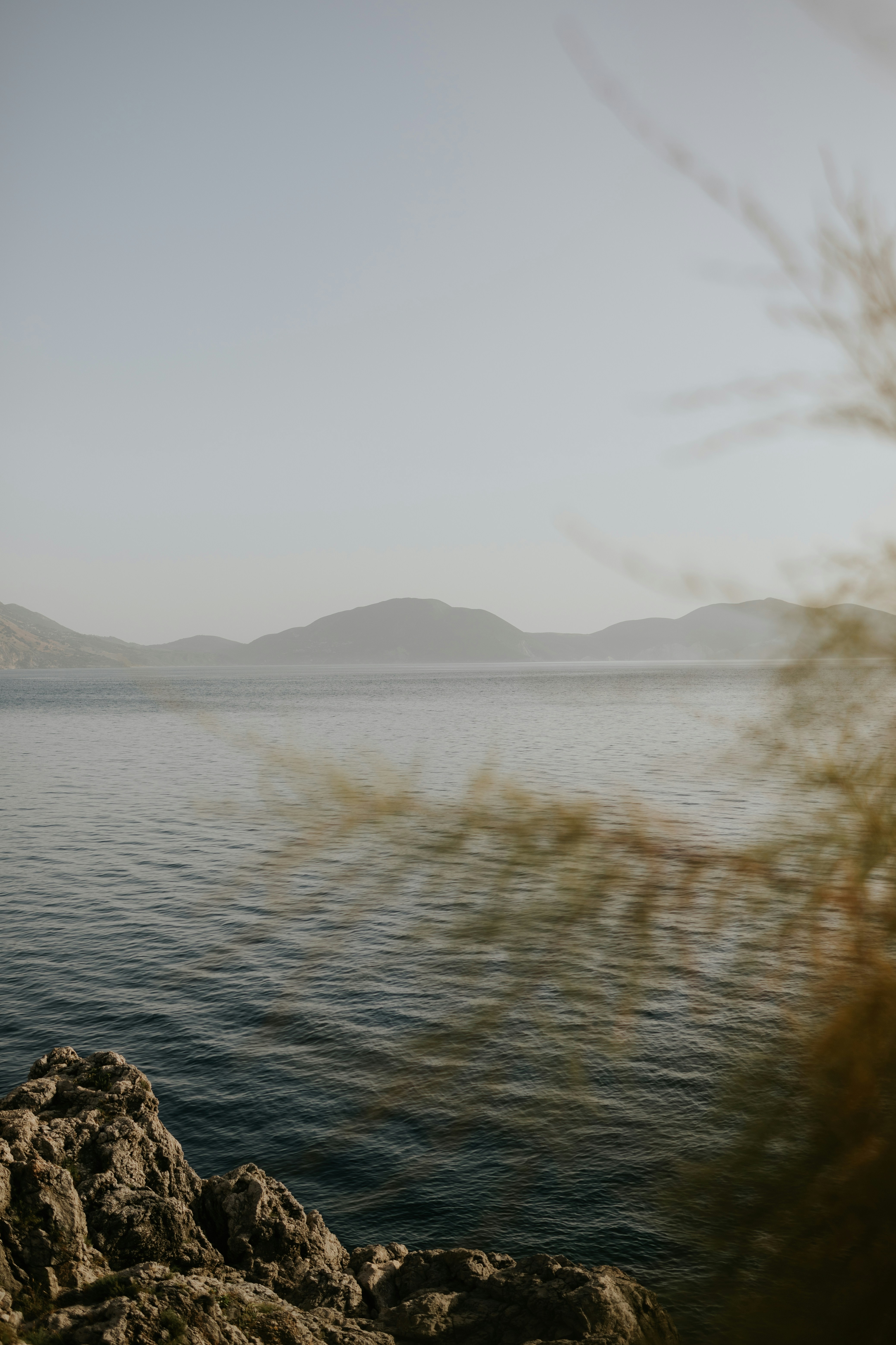 Photo by adinapatrana