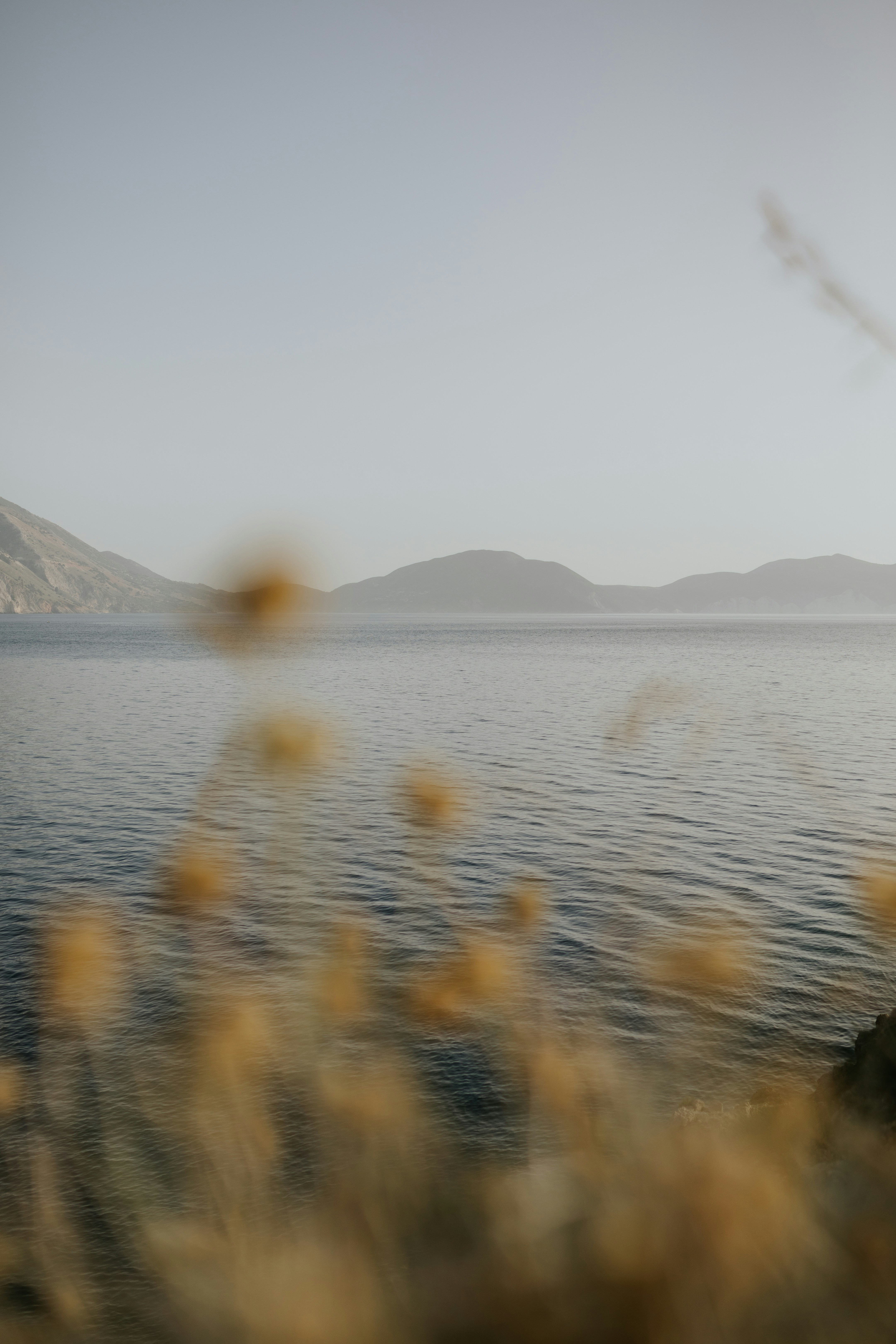 Photo by adinapatrana