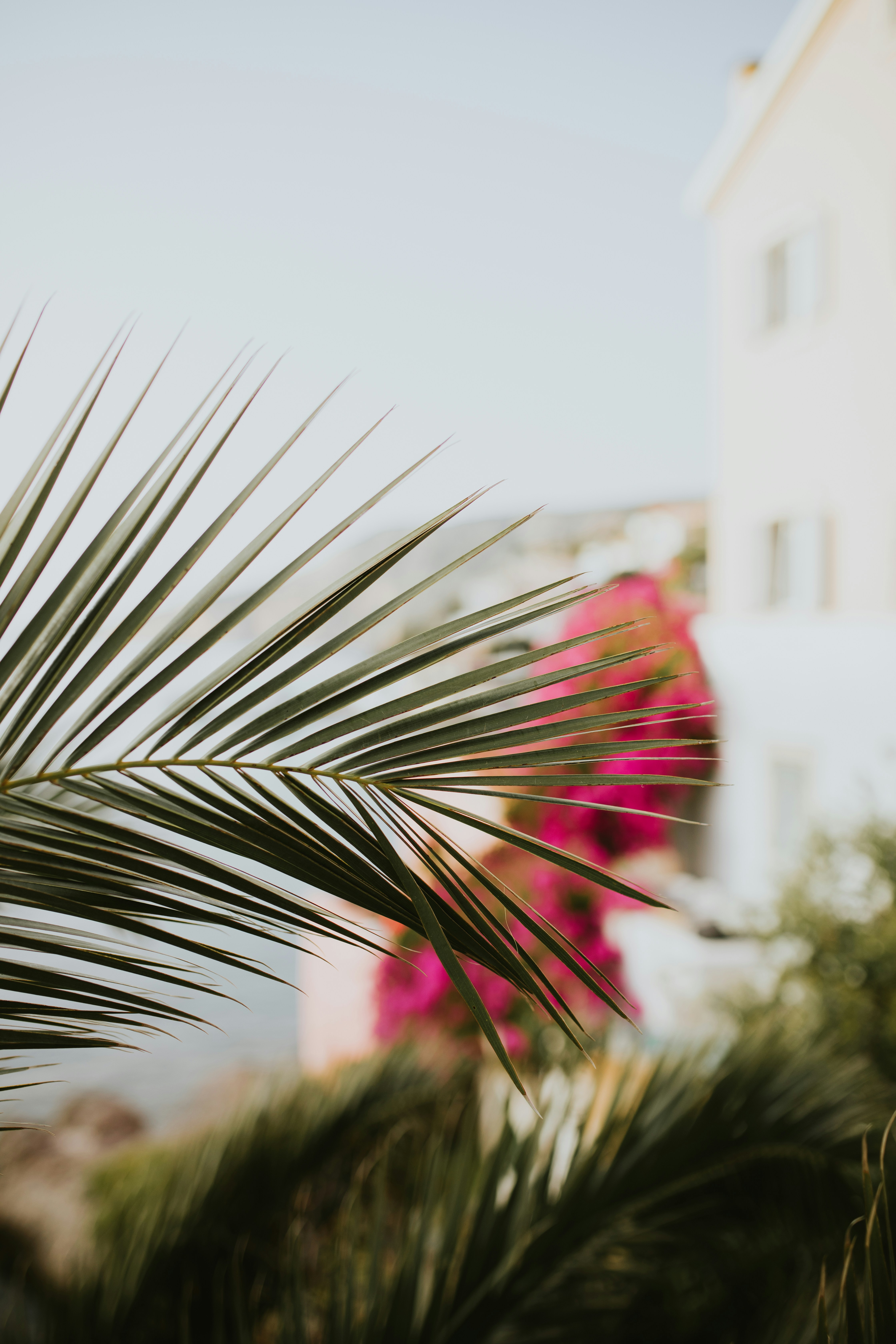 Photo by adinapatrana