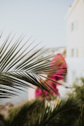Close-up of tropical decorations with palm leaves and bright flowers.
