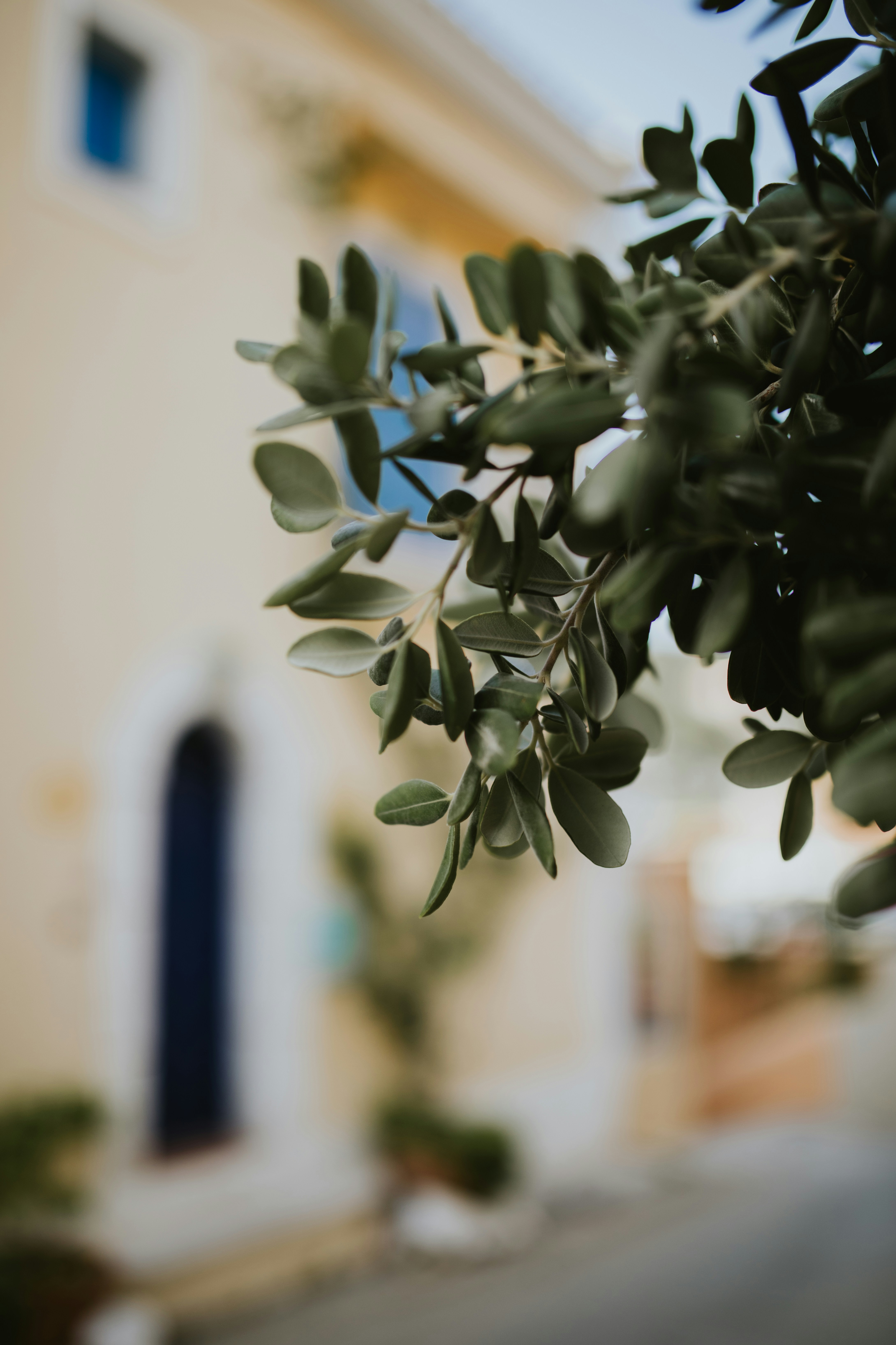 Photo by adinapatrana