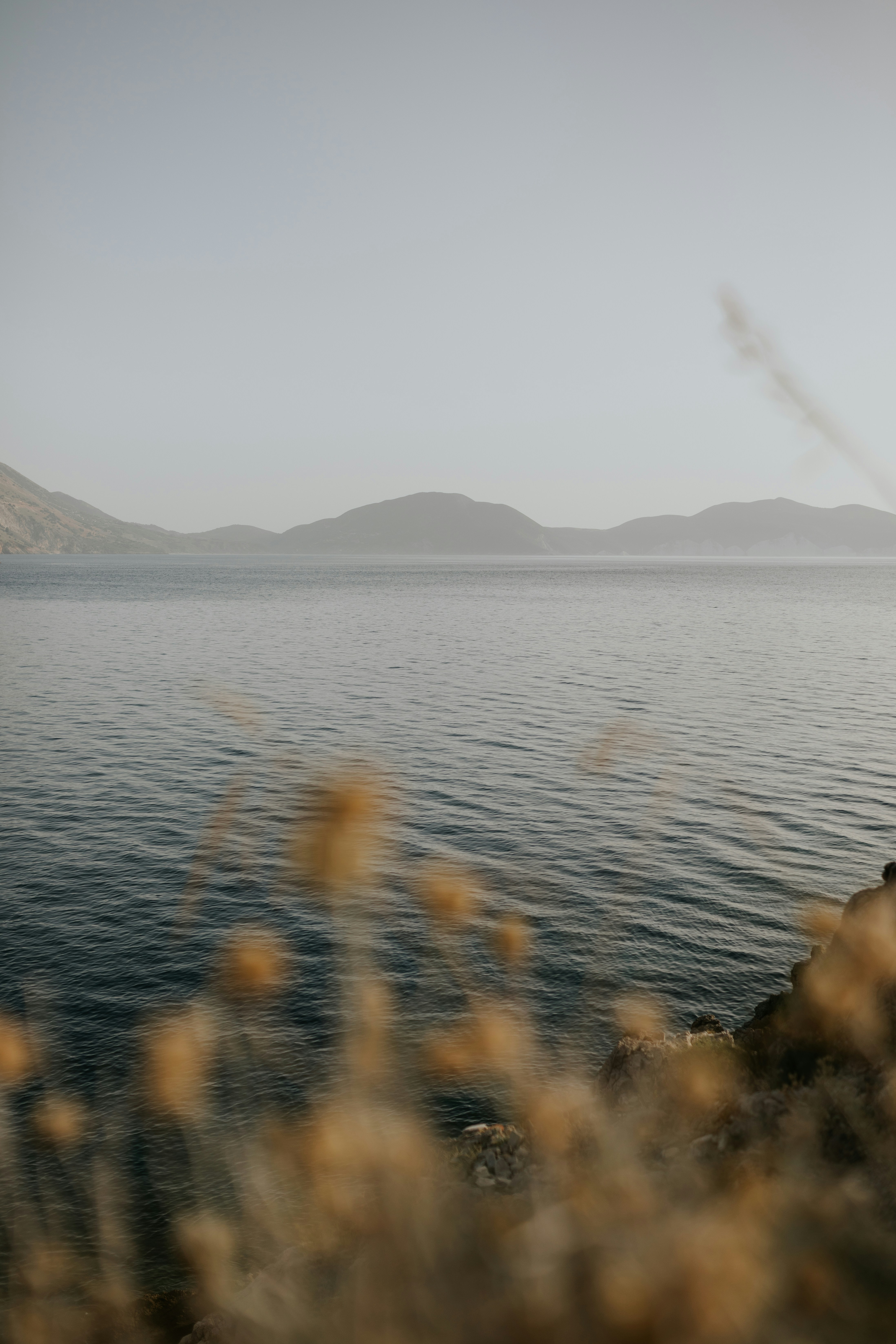 Photo by adinapatrana