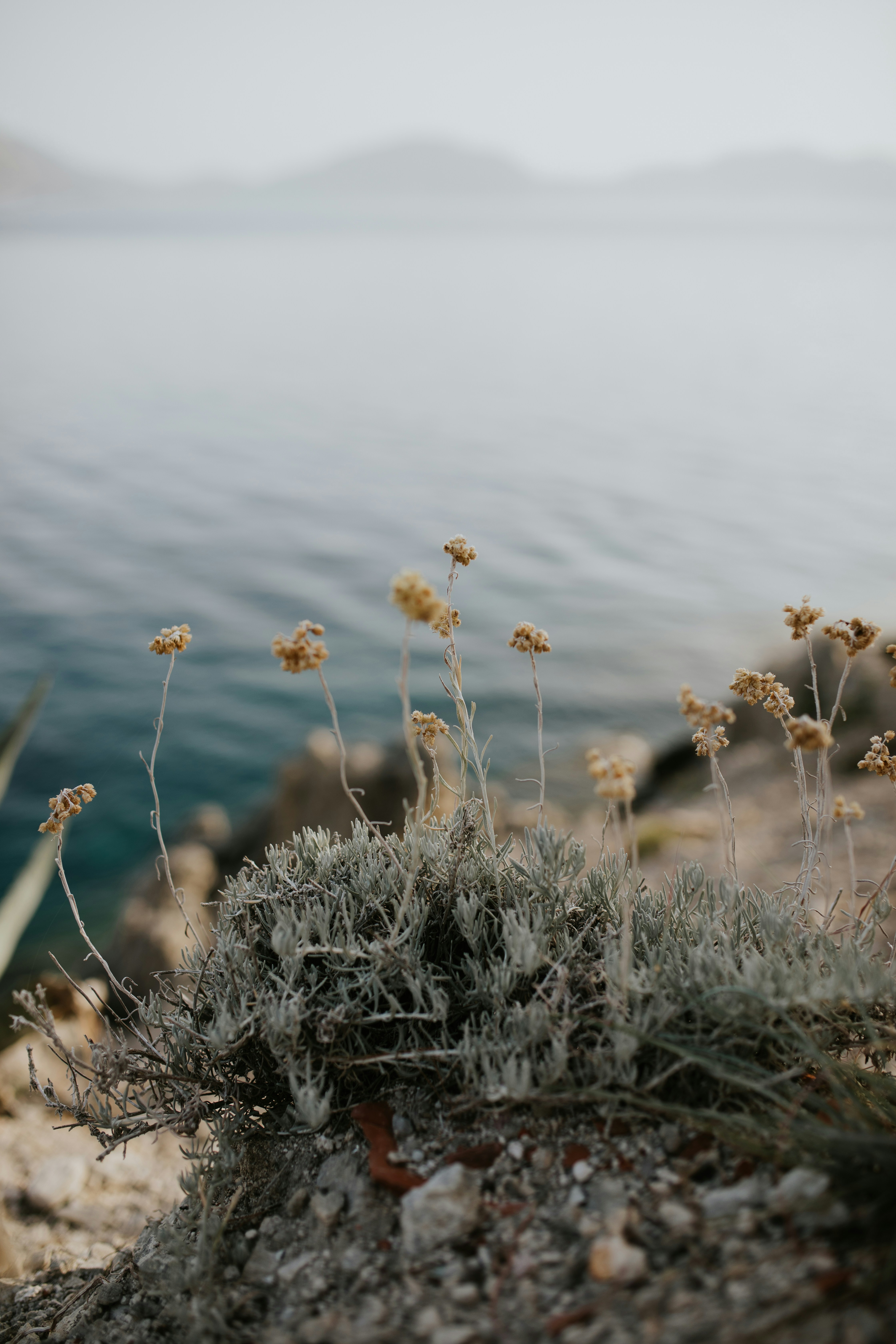 Photo by adinapatrana