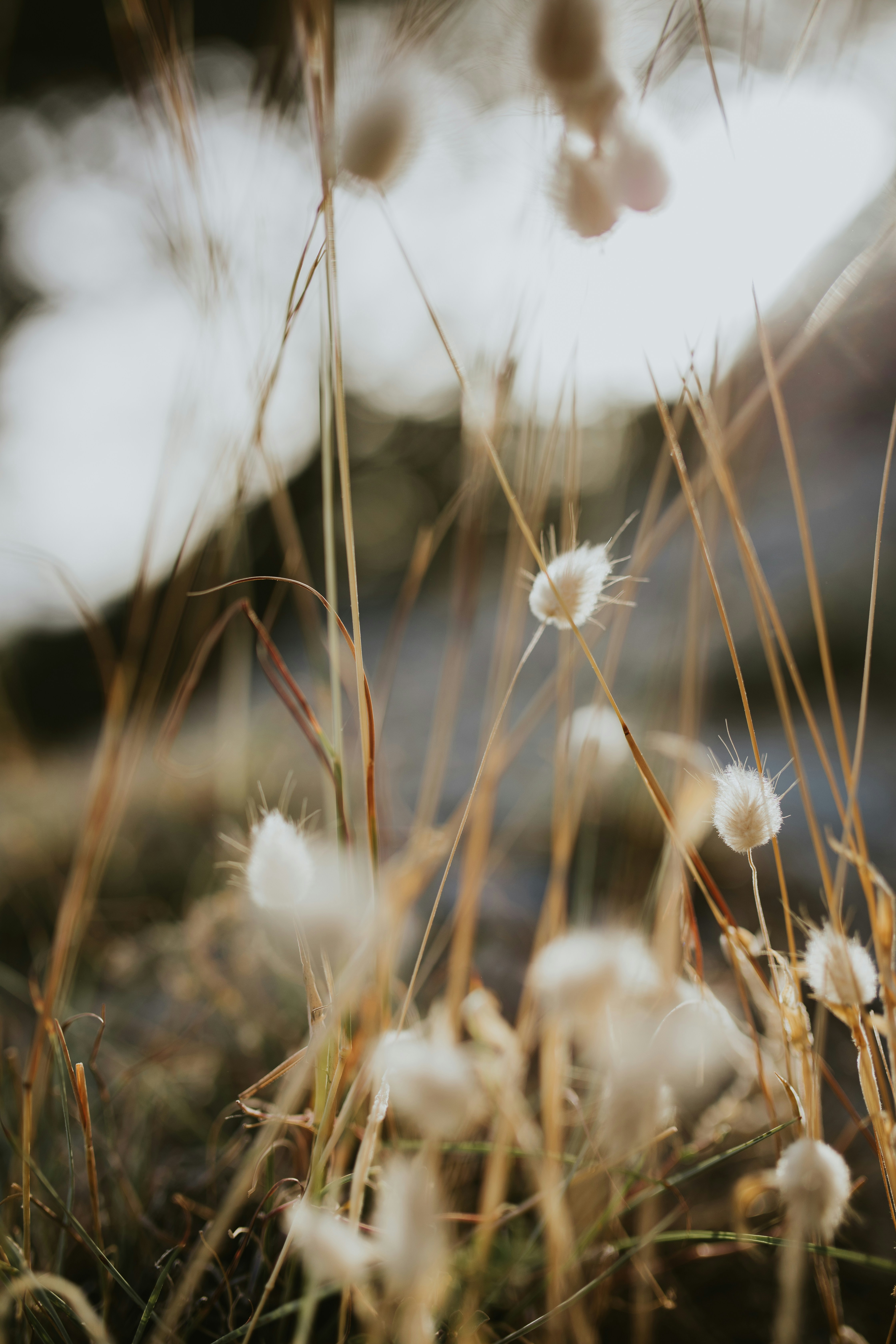 Photo by adinapatrana