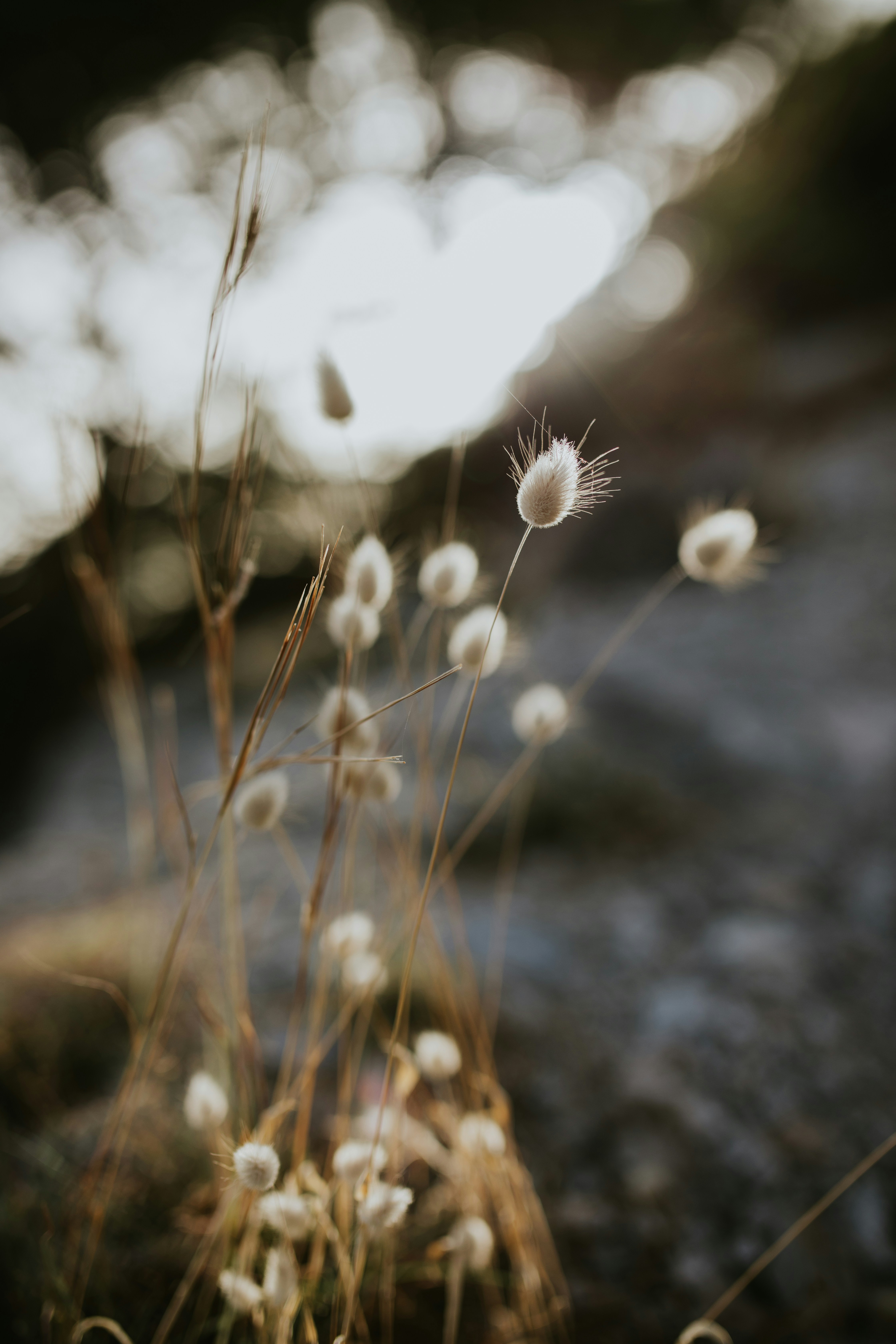 Photo by adinapatrana