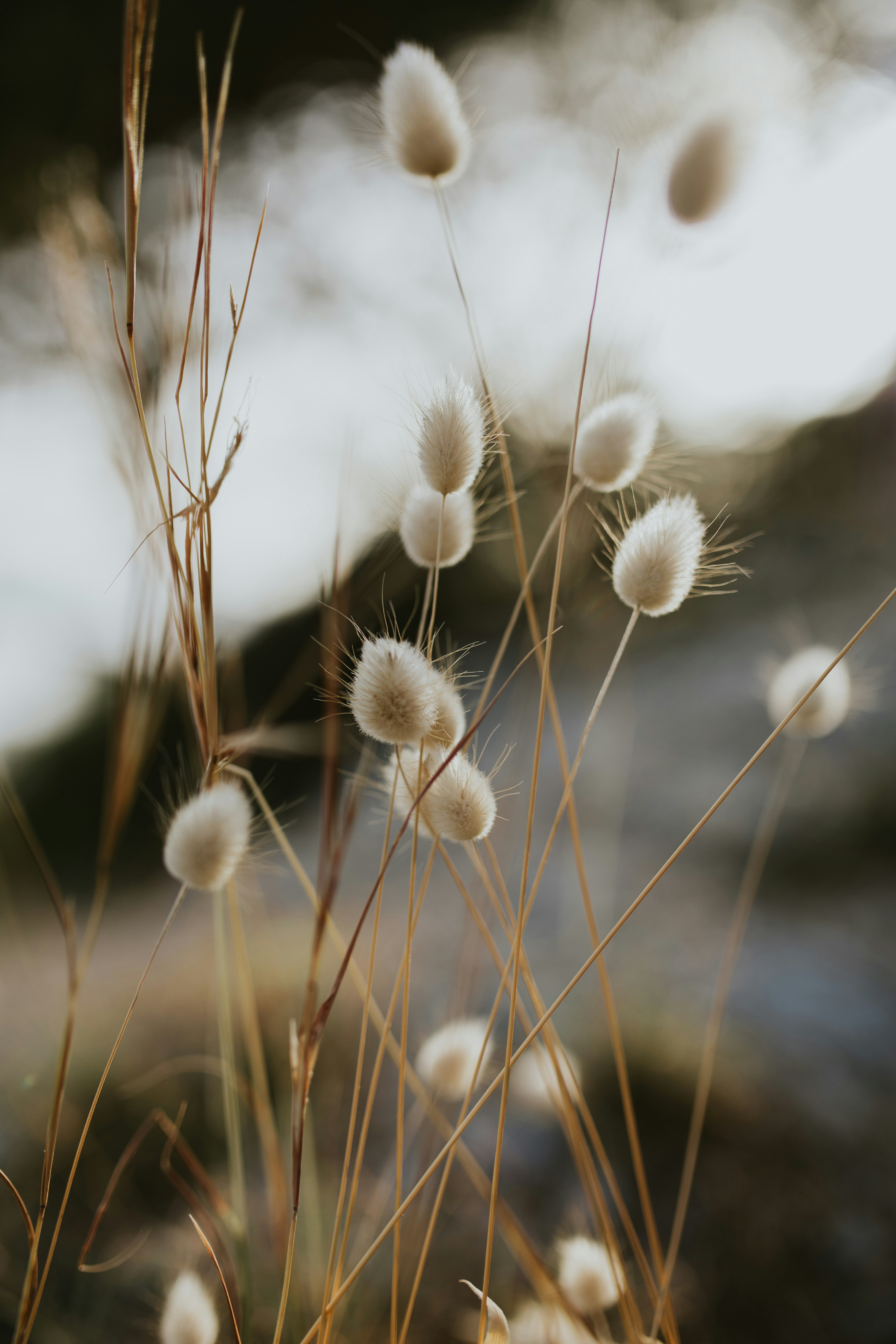 Photo by adinapatrana