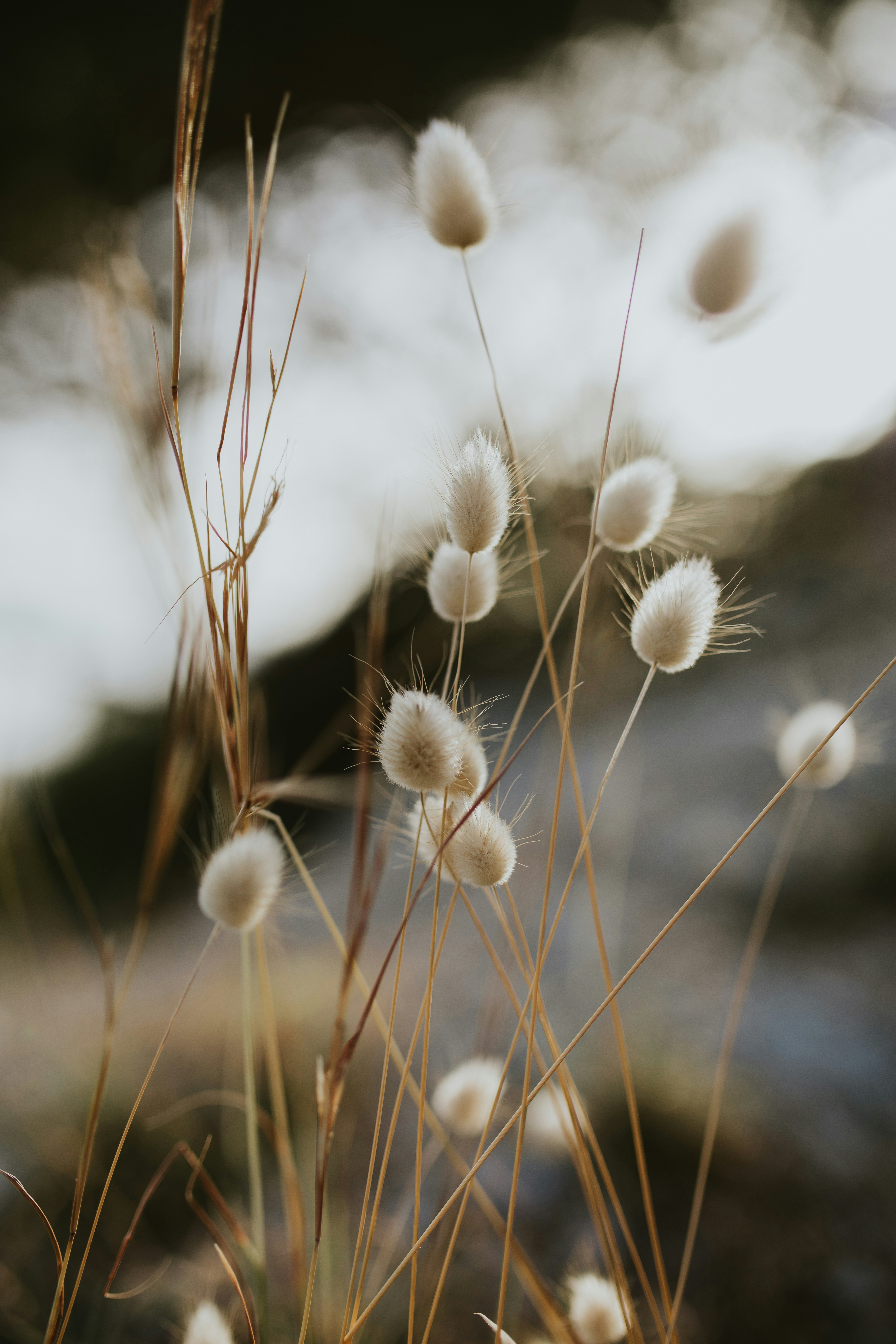 Photo by adinapatrana