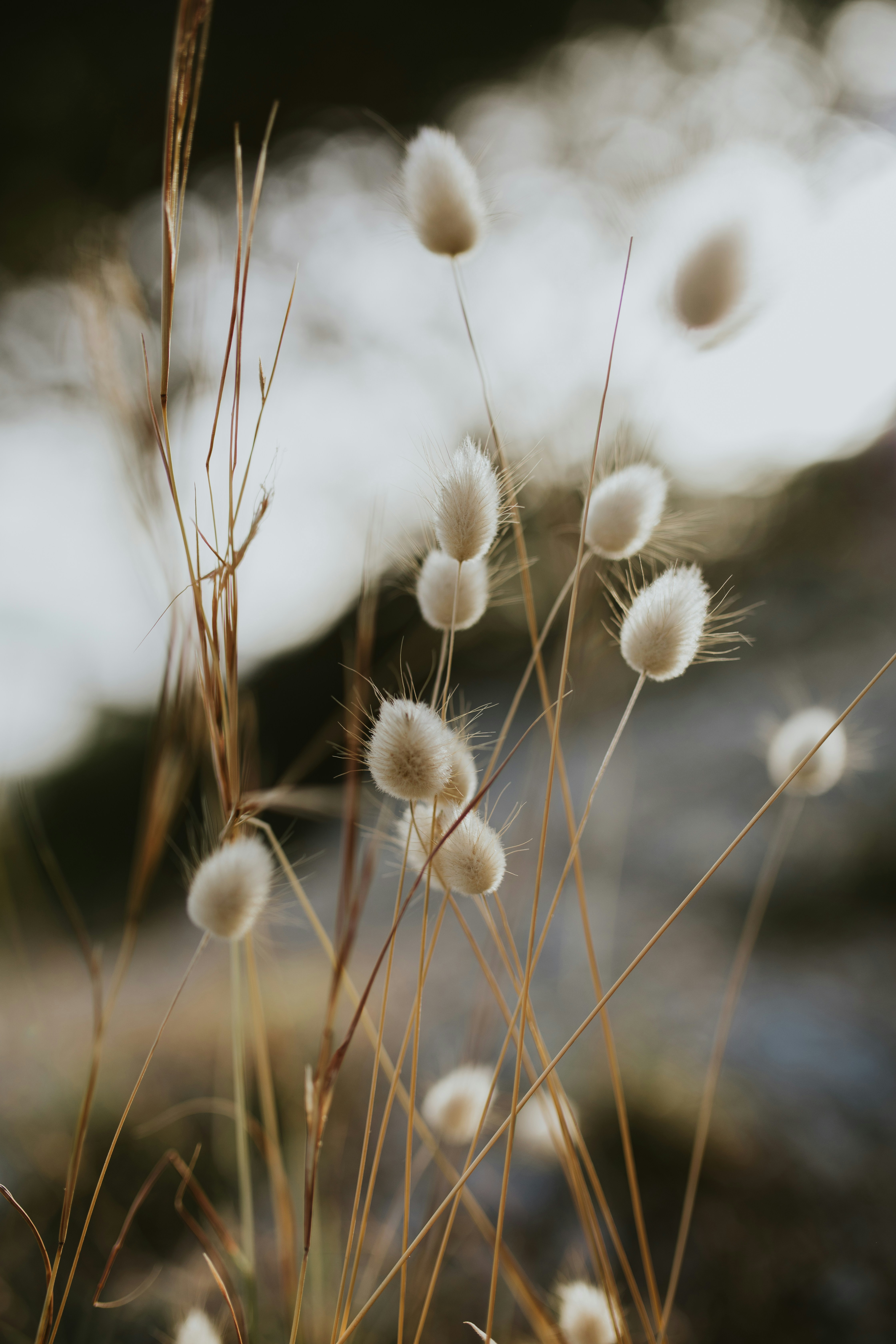 Photo by adinapatrana